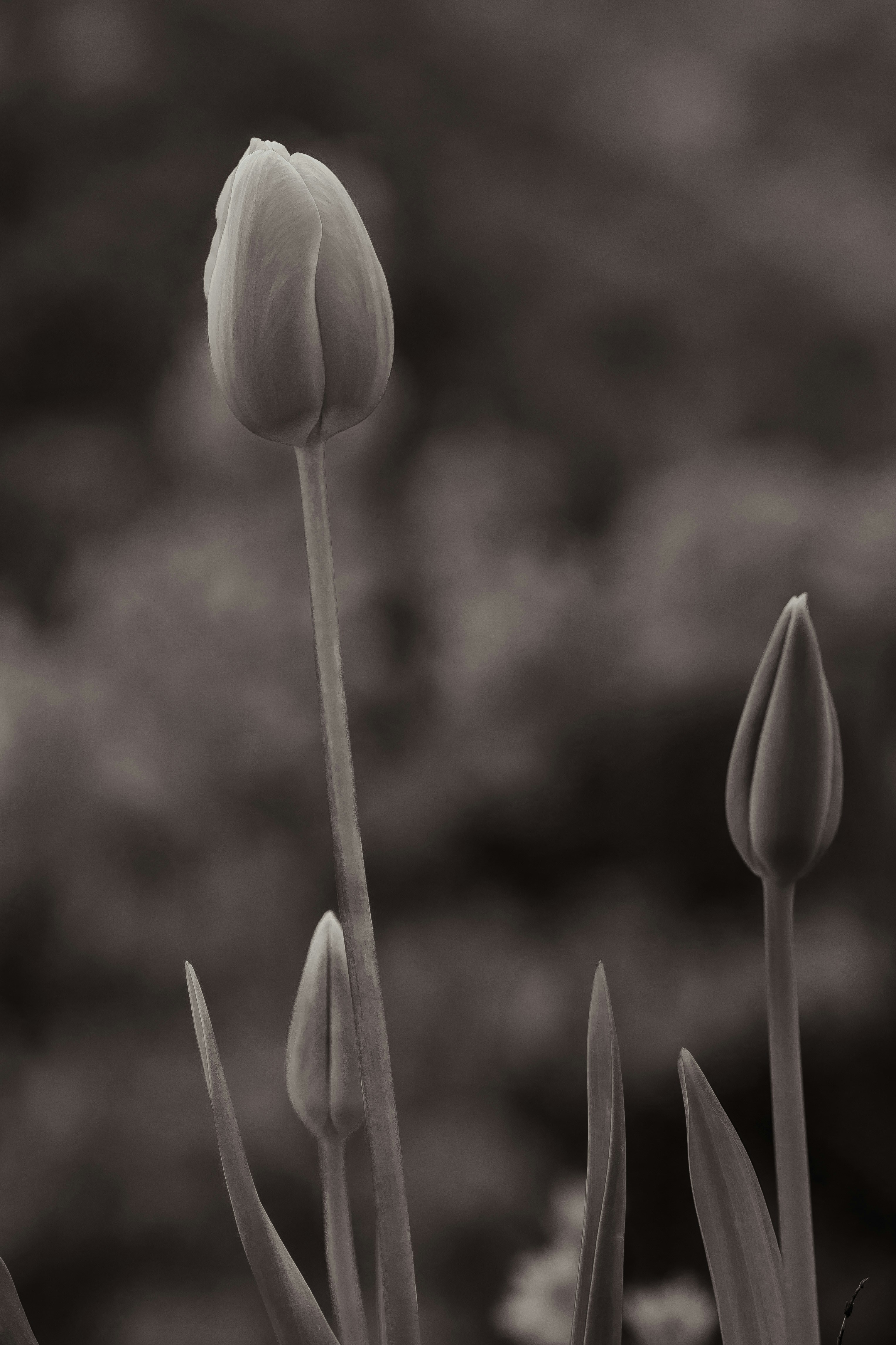 Photo by hdbernd