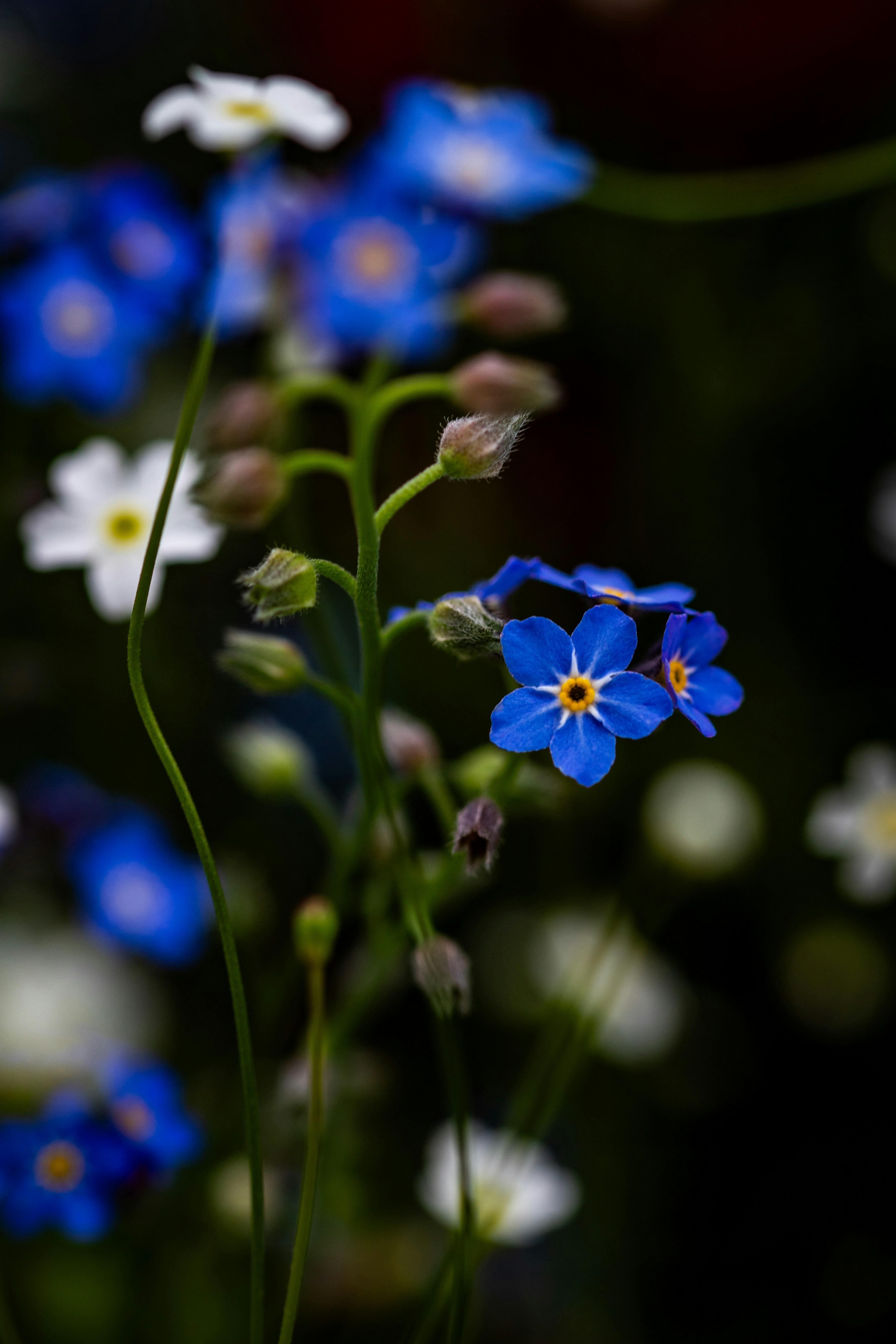 Photo by hdbernd