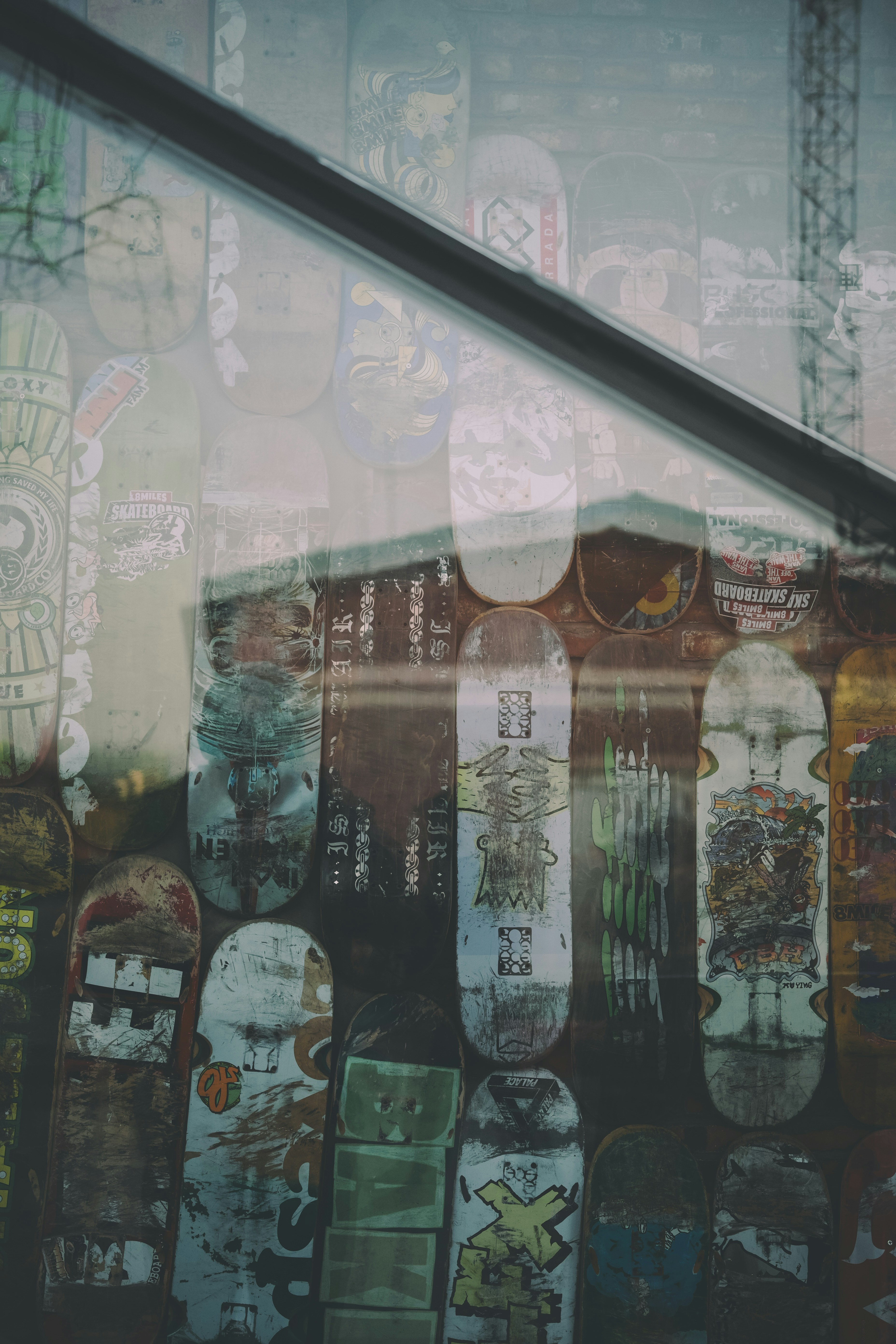 Collection of skateboards displayed in a store window.