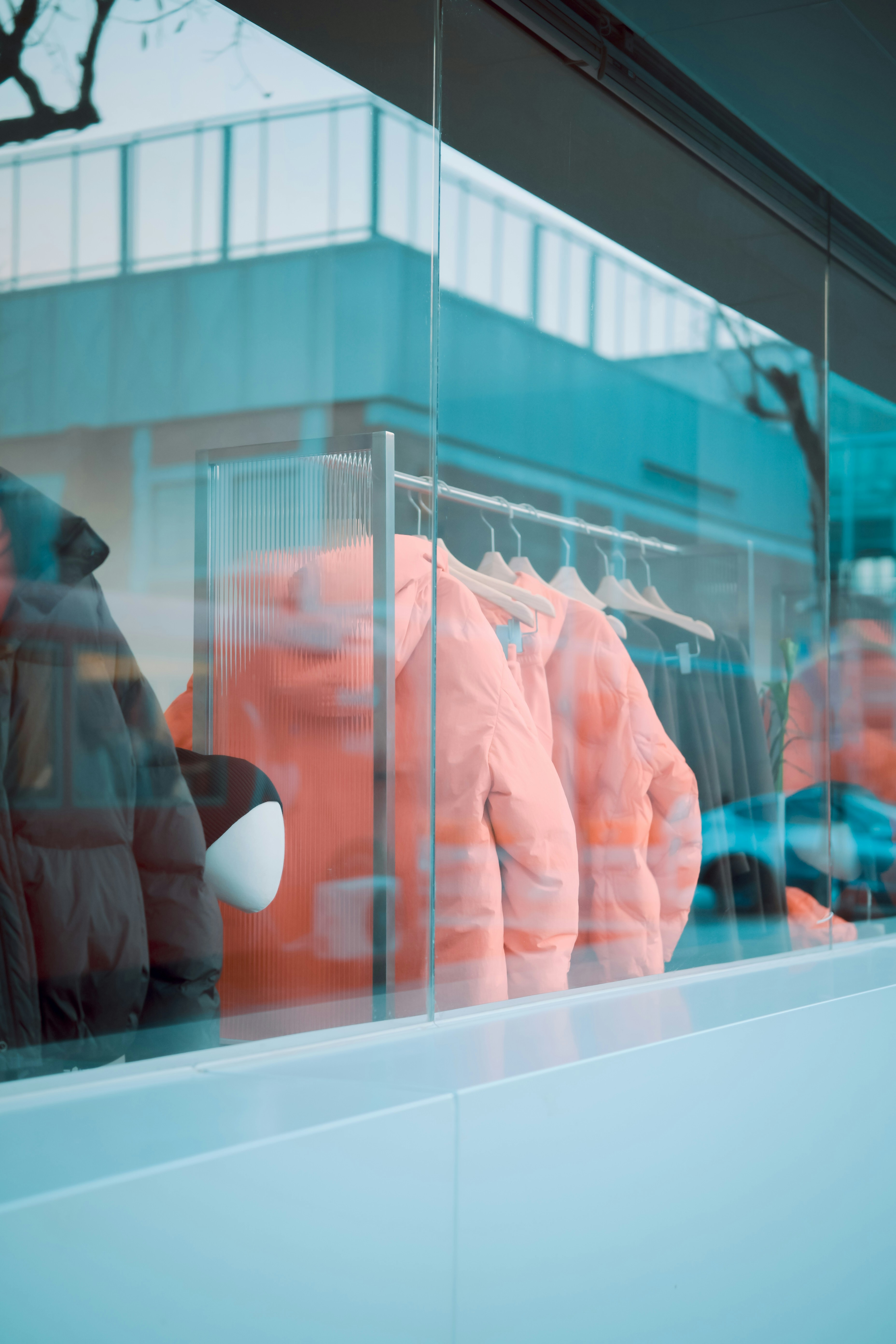 Puffer jackets displayed in a store window