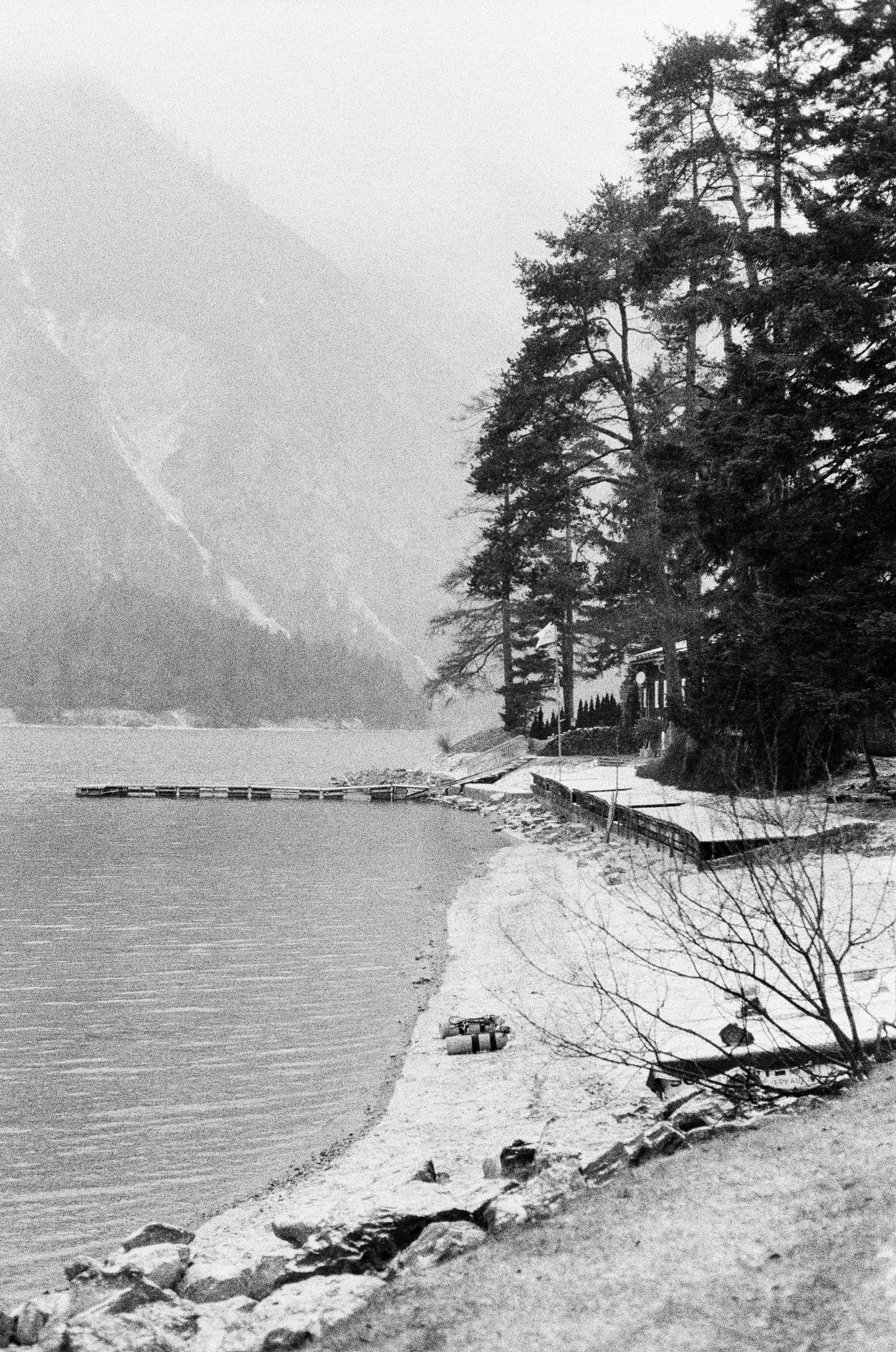 Snow-covered shore with pine trees and distant mountains.