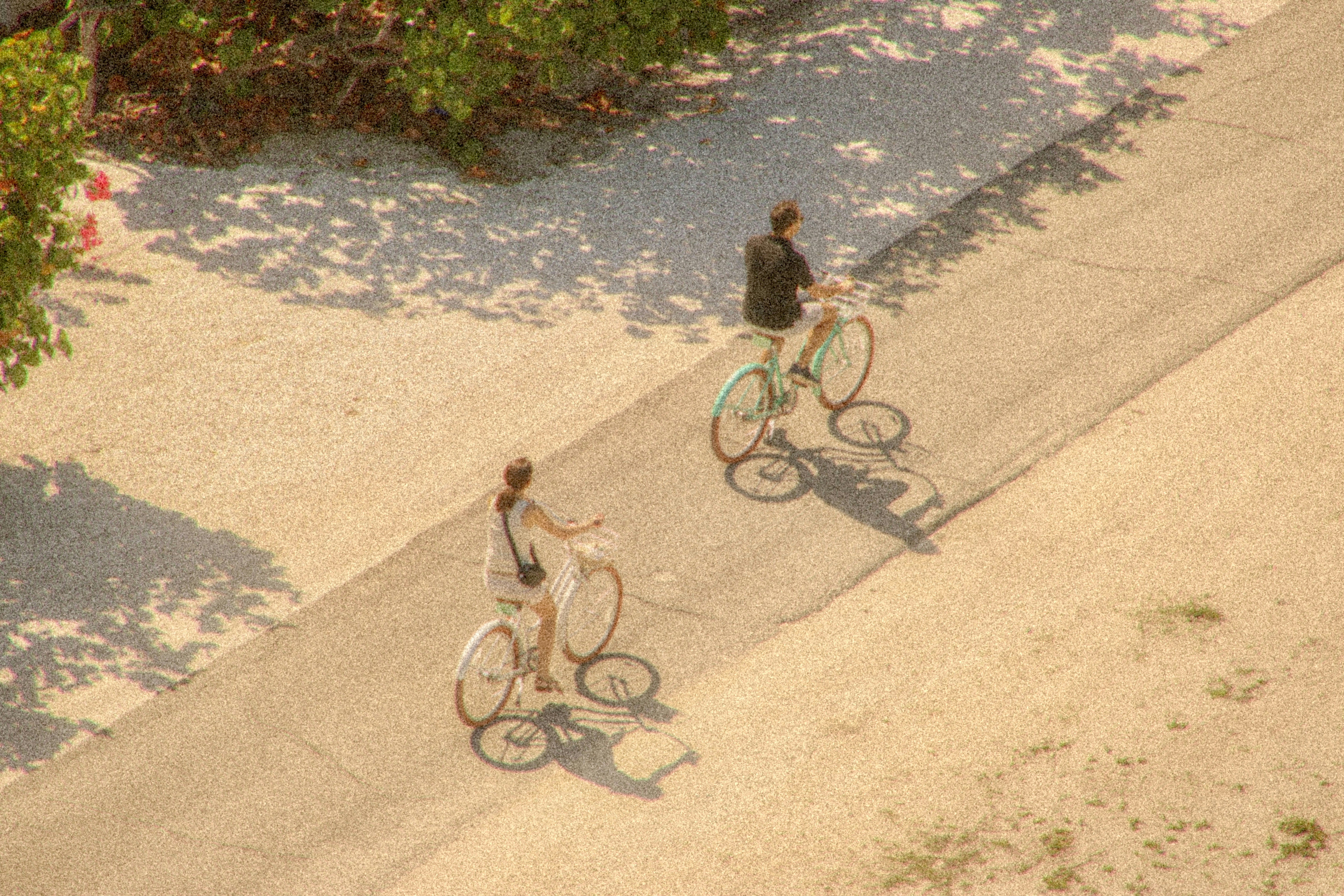 Two people riding bicycles on a sunny day.
