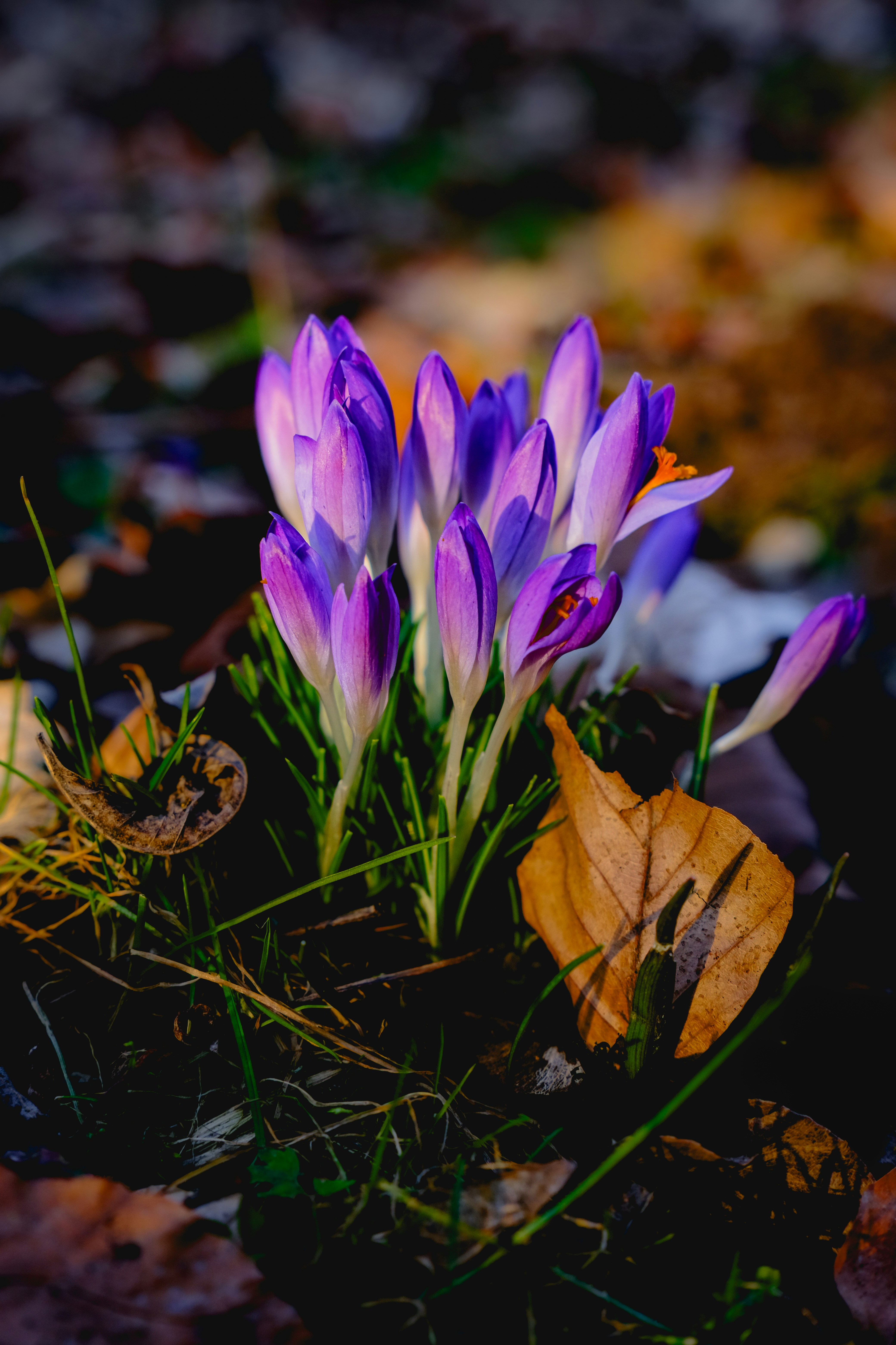 Photo by denisaficau
