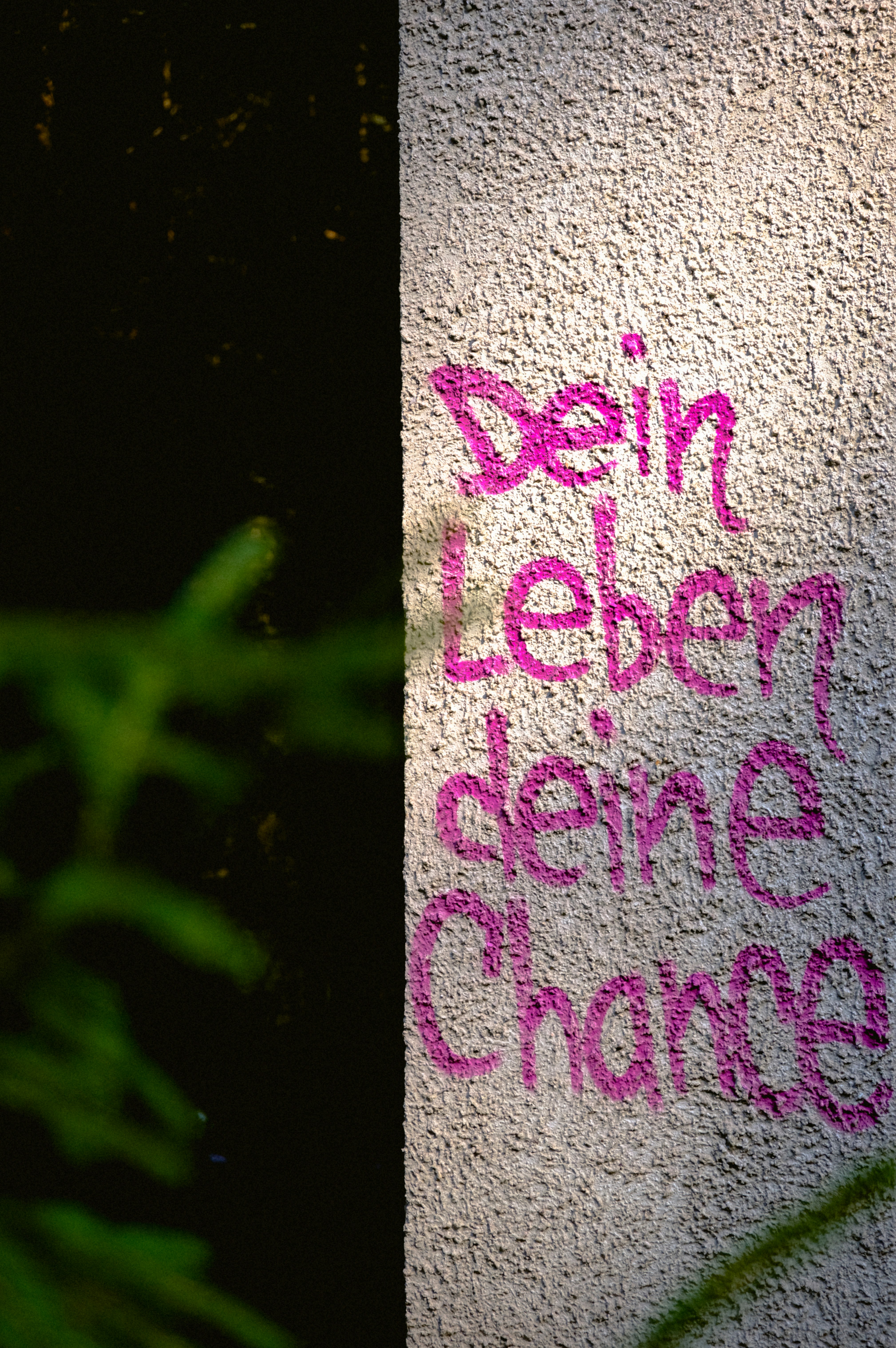 Lebenslauf