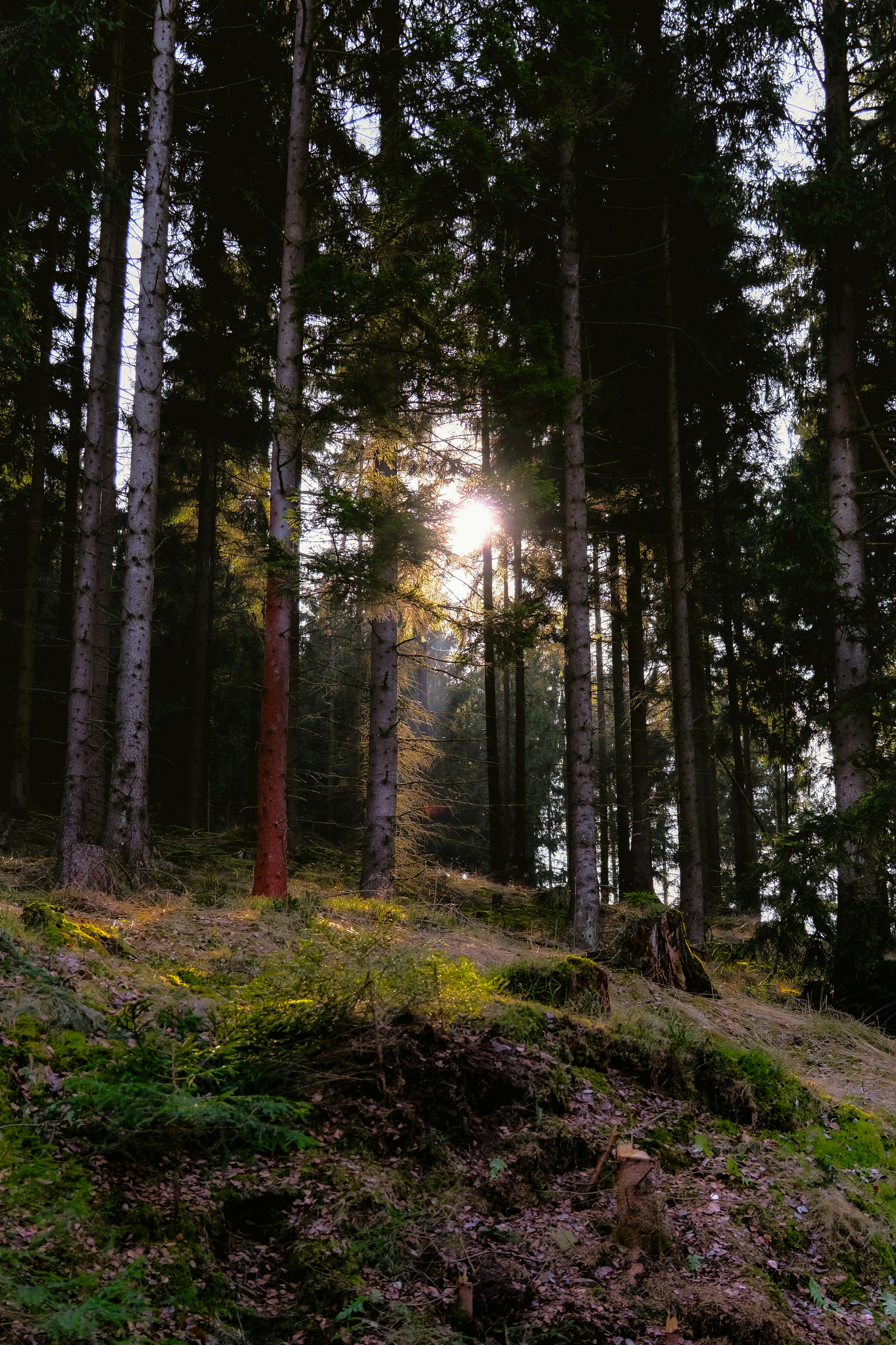 Photo by denisaficau