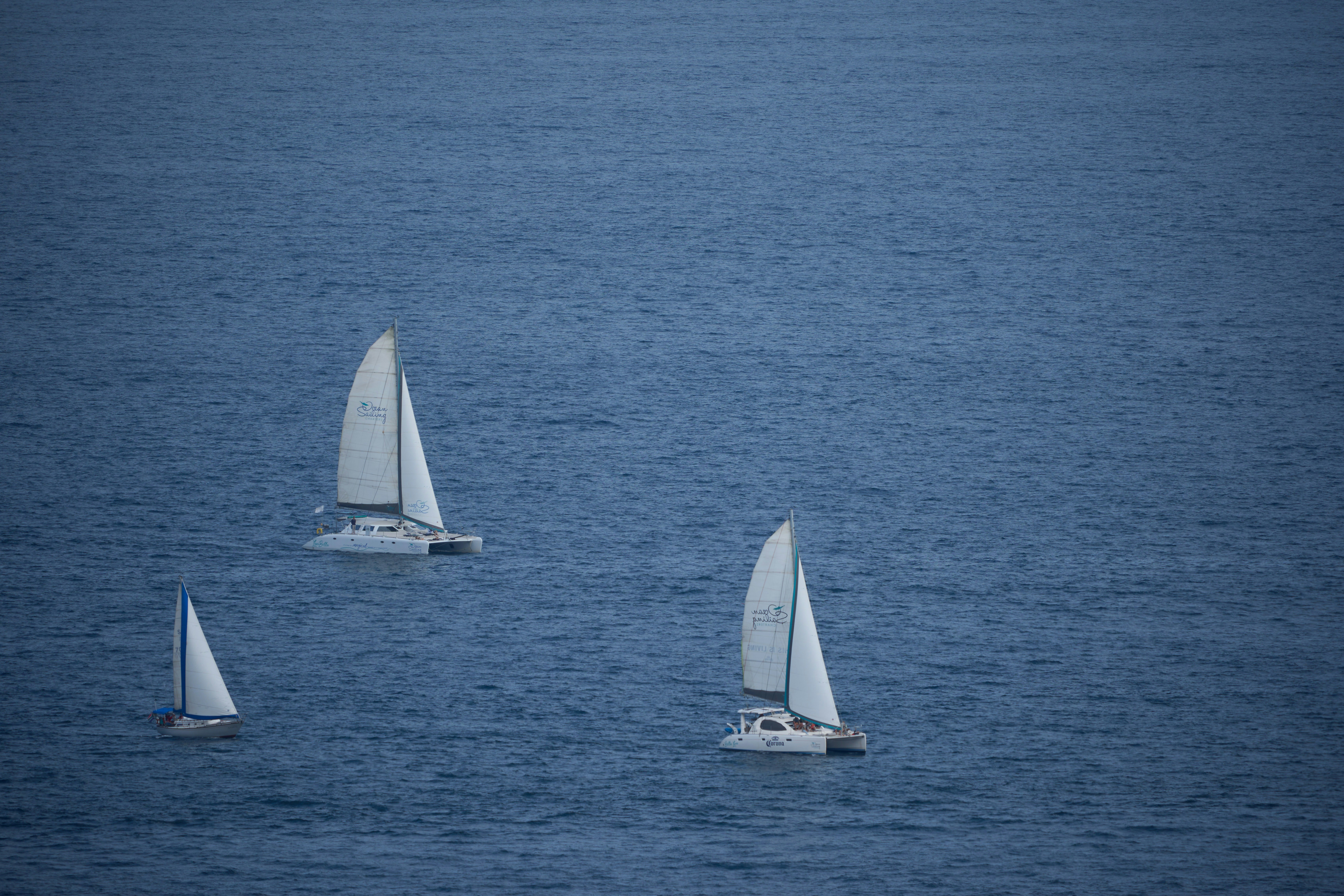 세 척의 요트가 잔잔한 푸른 바다를 미끄러지듯 지나간다.