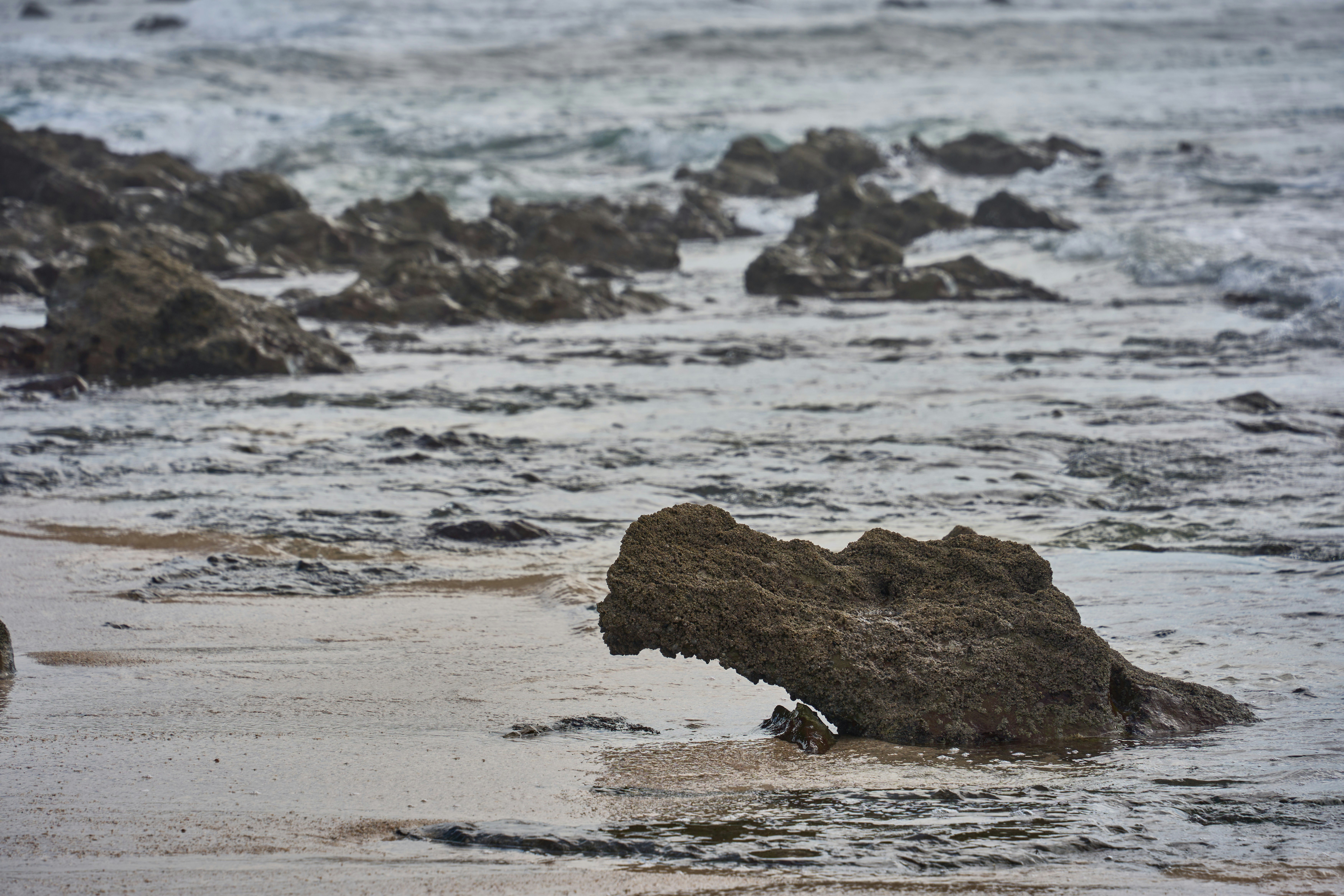 바위가 많은 해안과 파도가 바위에 부딪히는 소리