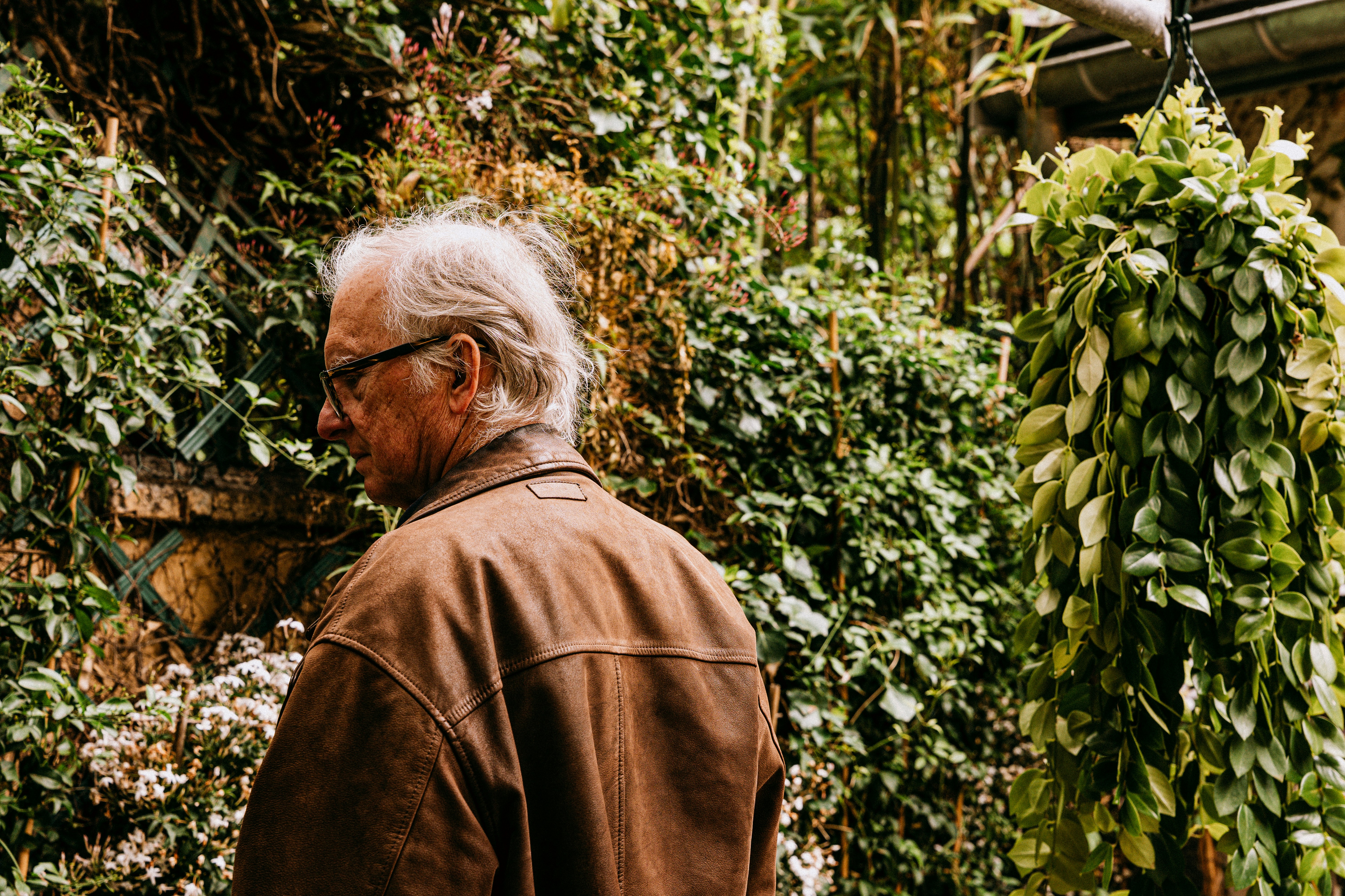 Elderly man in brown jacket surrounded by lush greenery