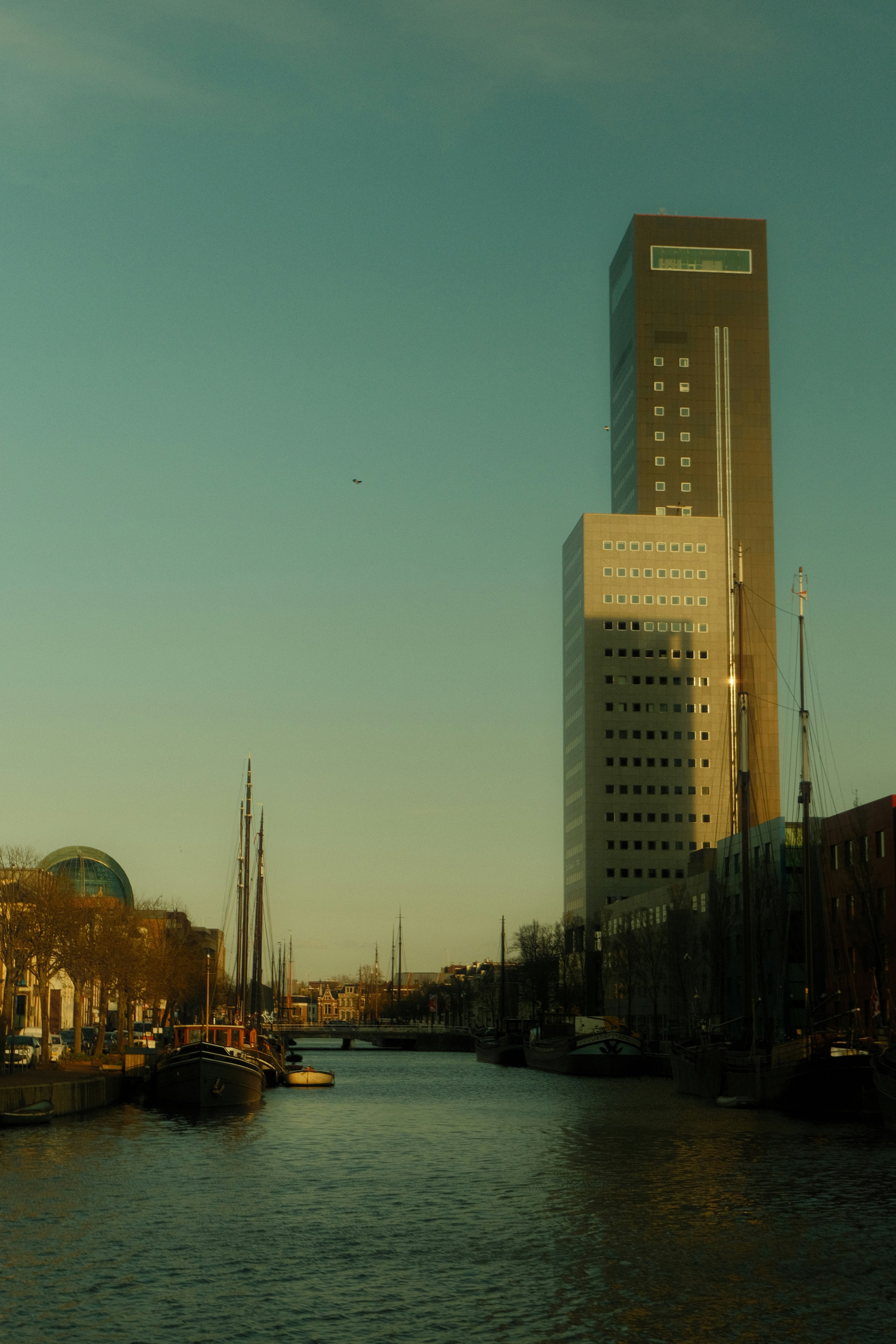 Photo by rixtvdl