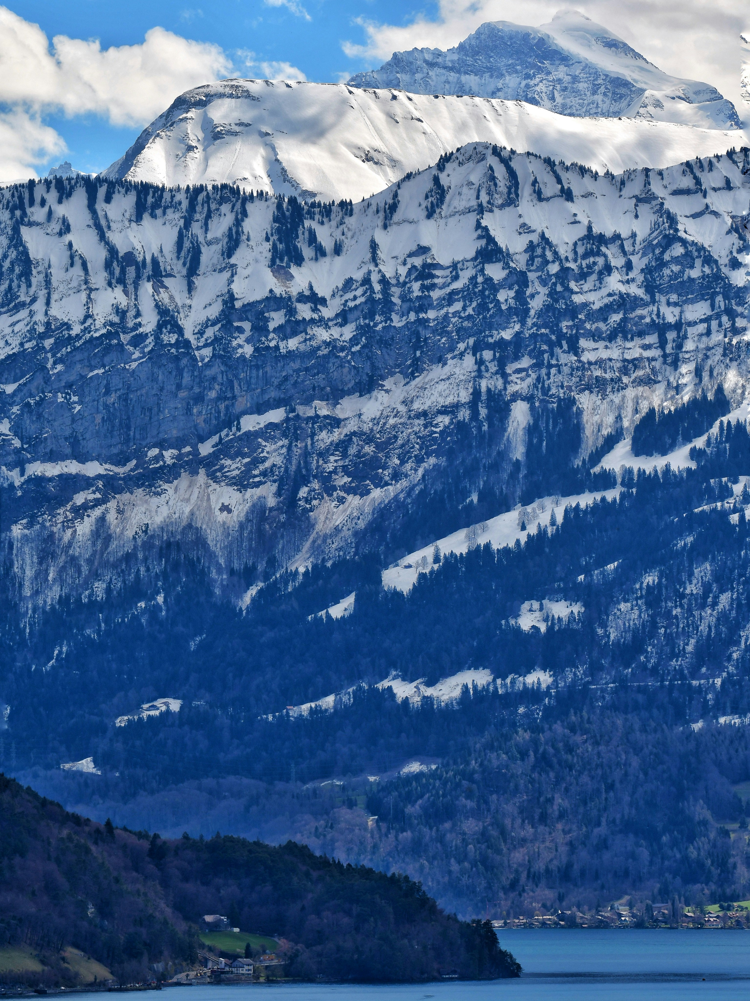 Schneebedeckte Berge erheben sich über einen bewaldeten Hang