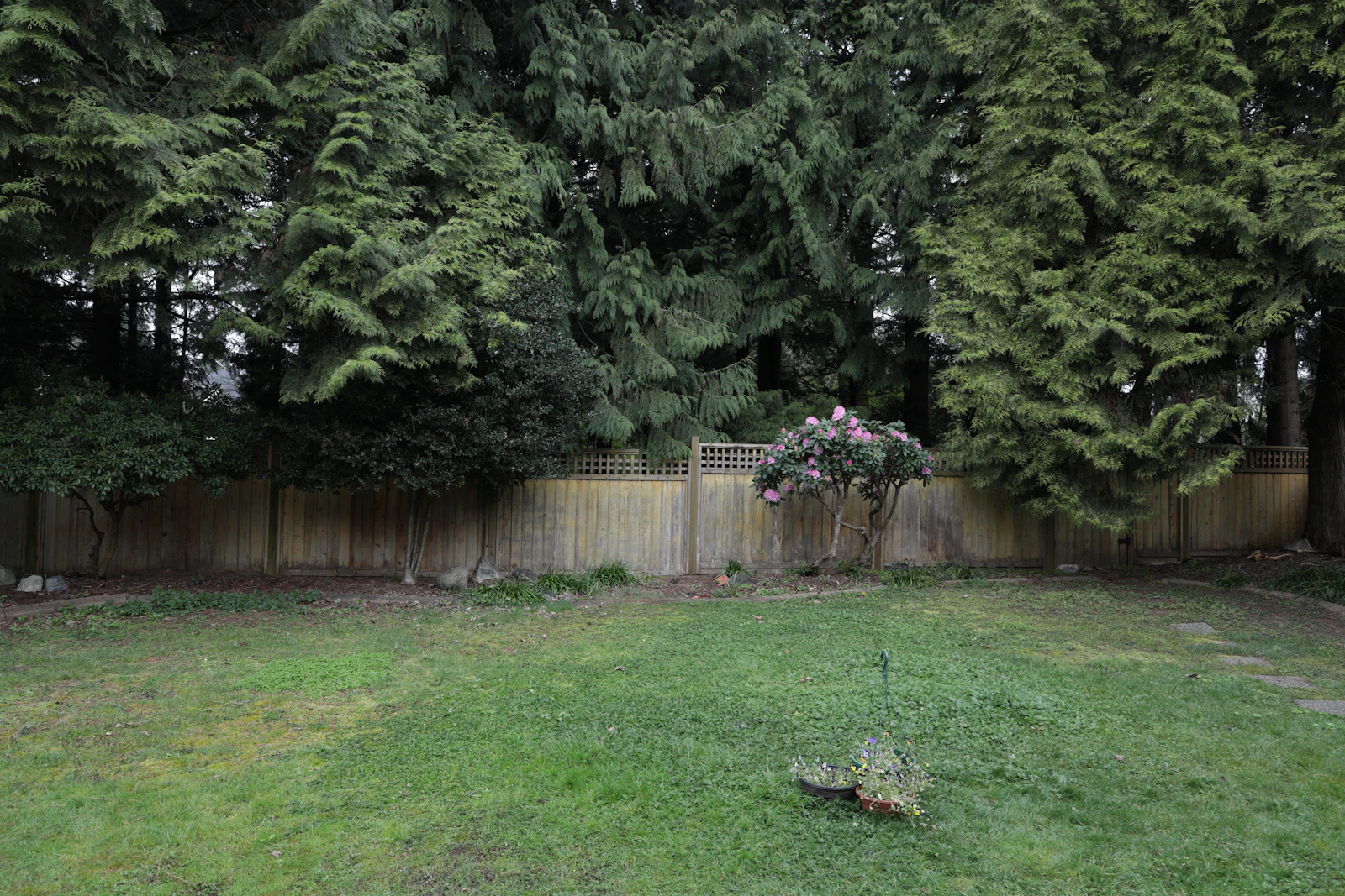 Residential wood privacy fence