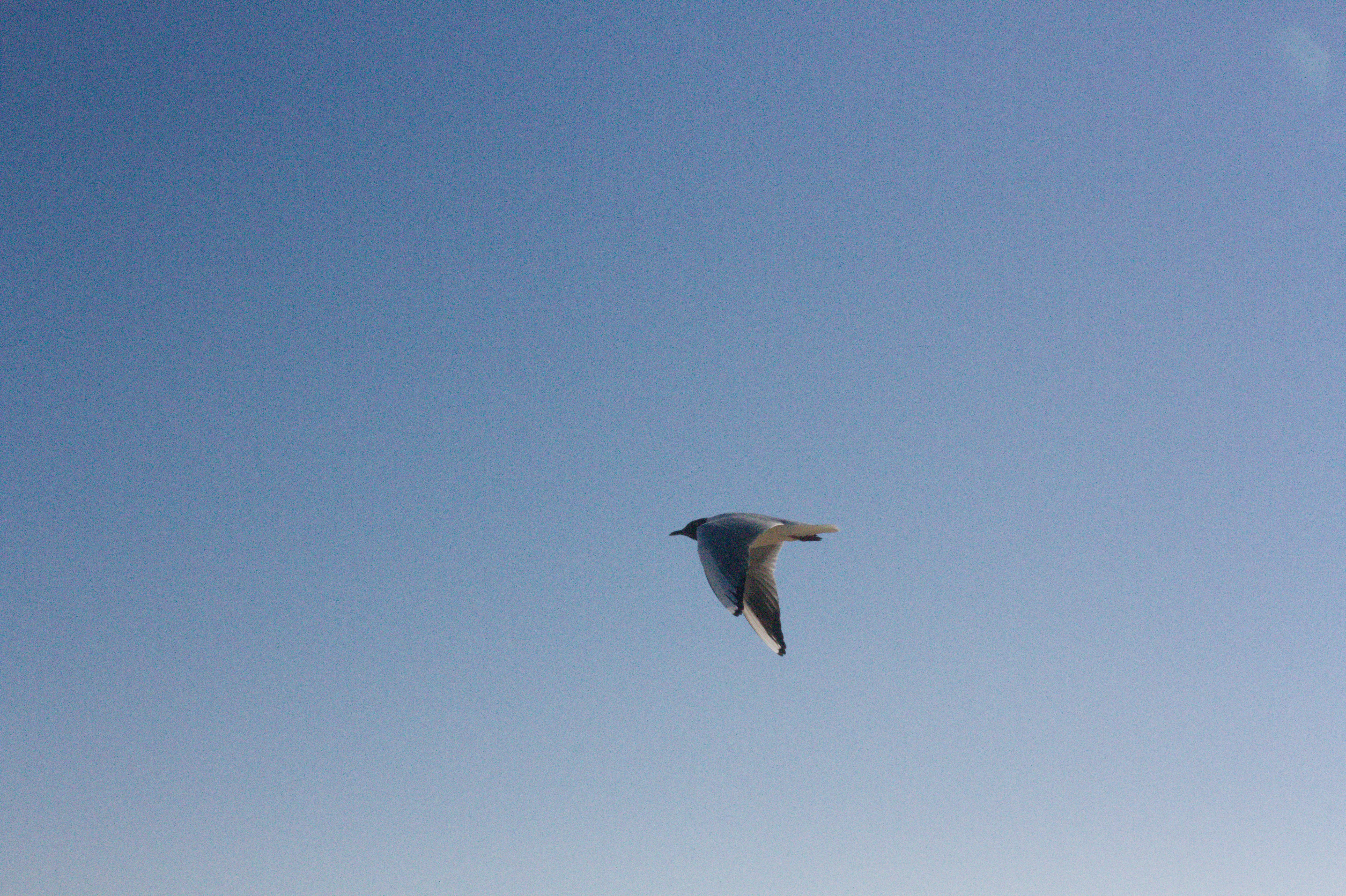 Photo by hiohzo