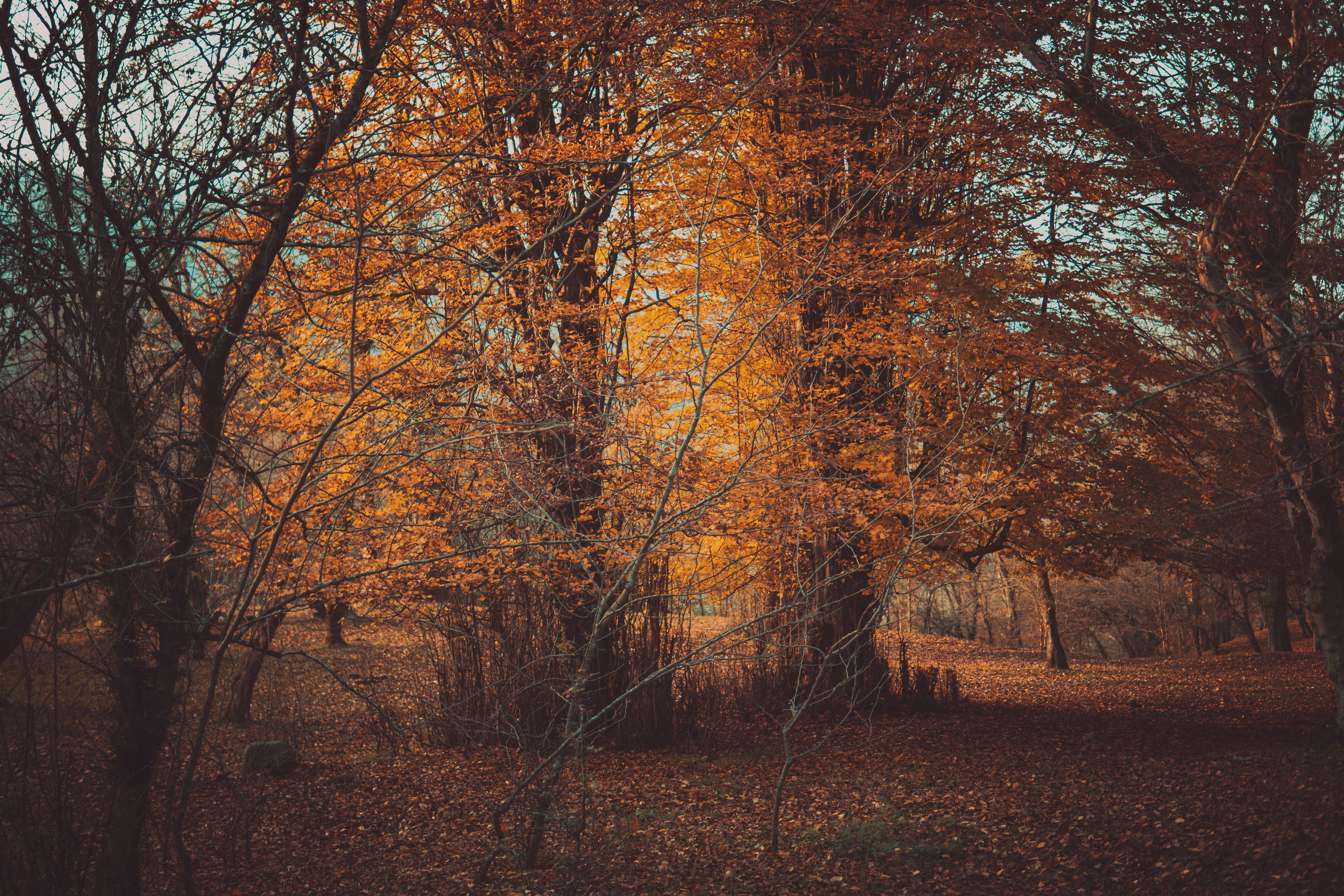 Photo by evopix