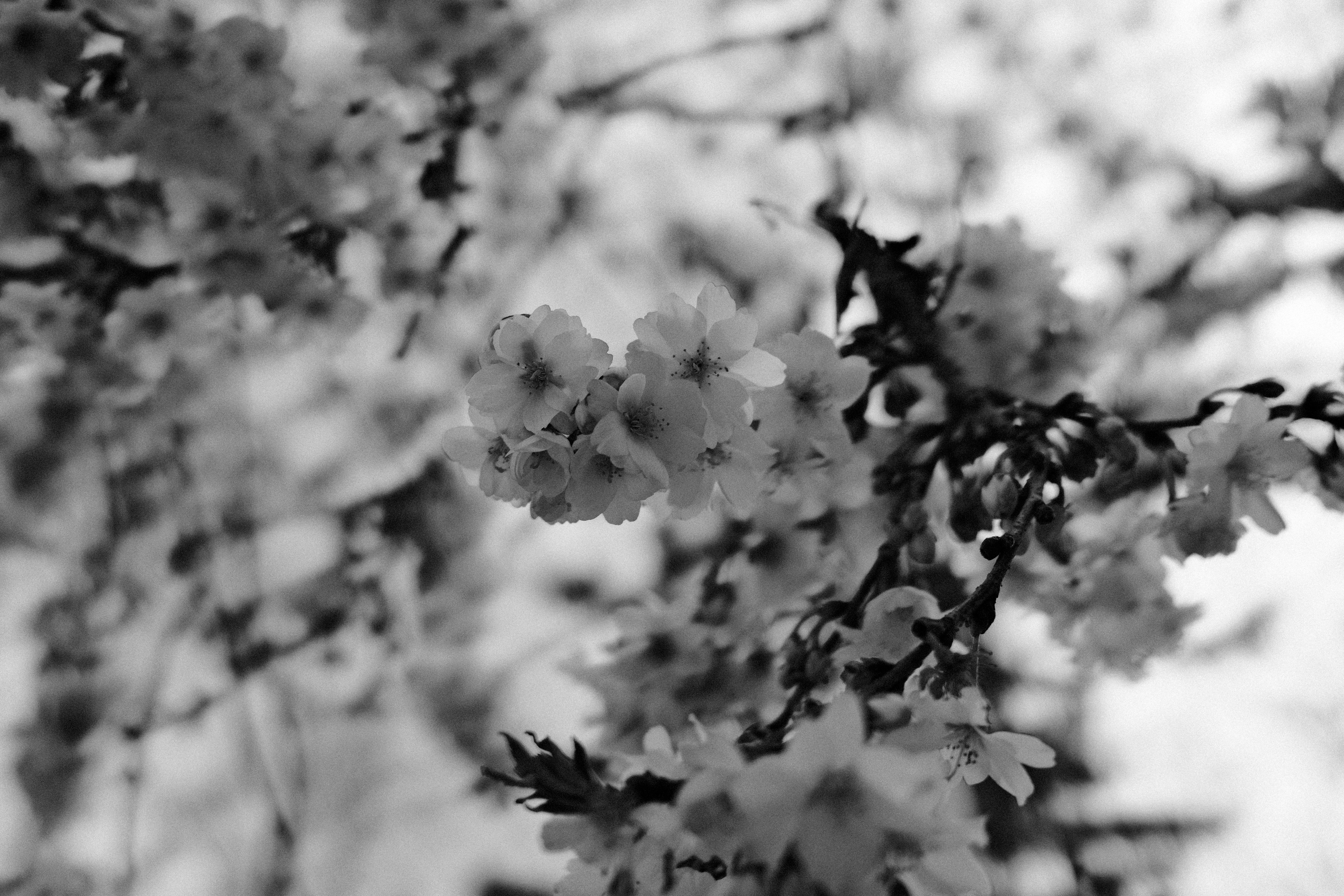 Photo by noah2199