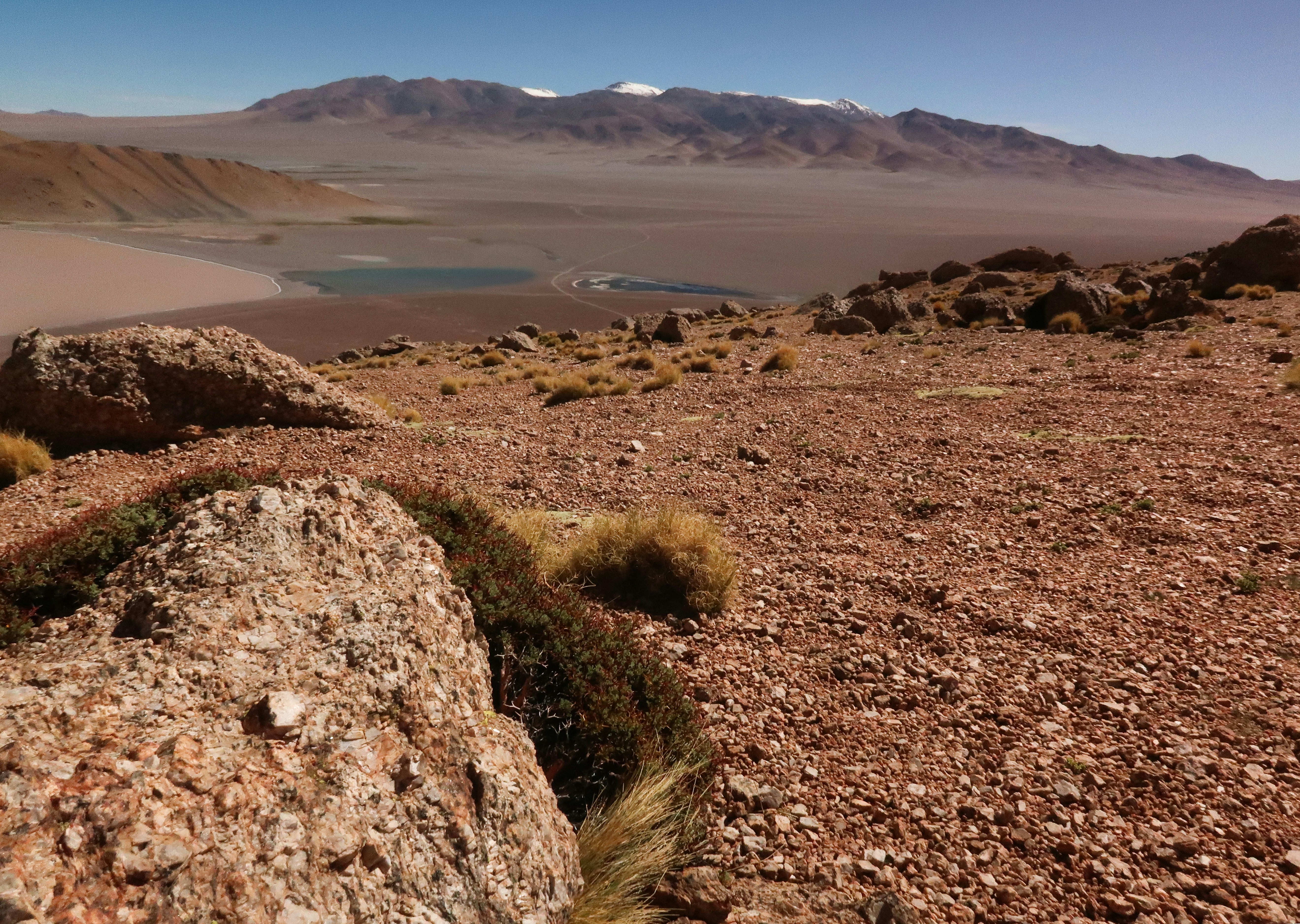Photo by argentinanatural