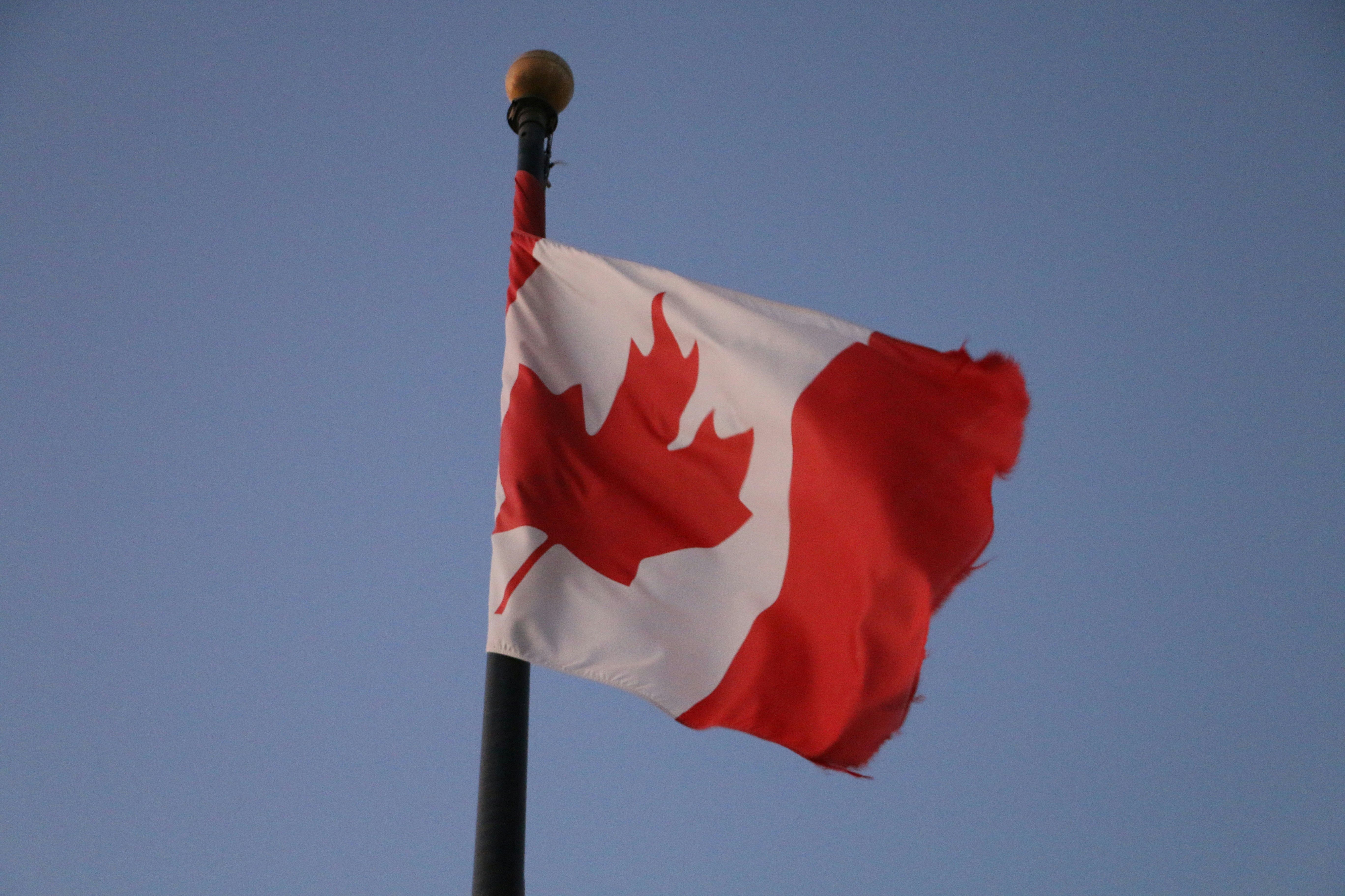 The canadian flag waves against a clear blue sky.