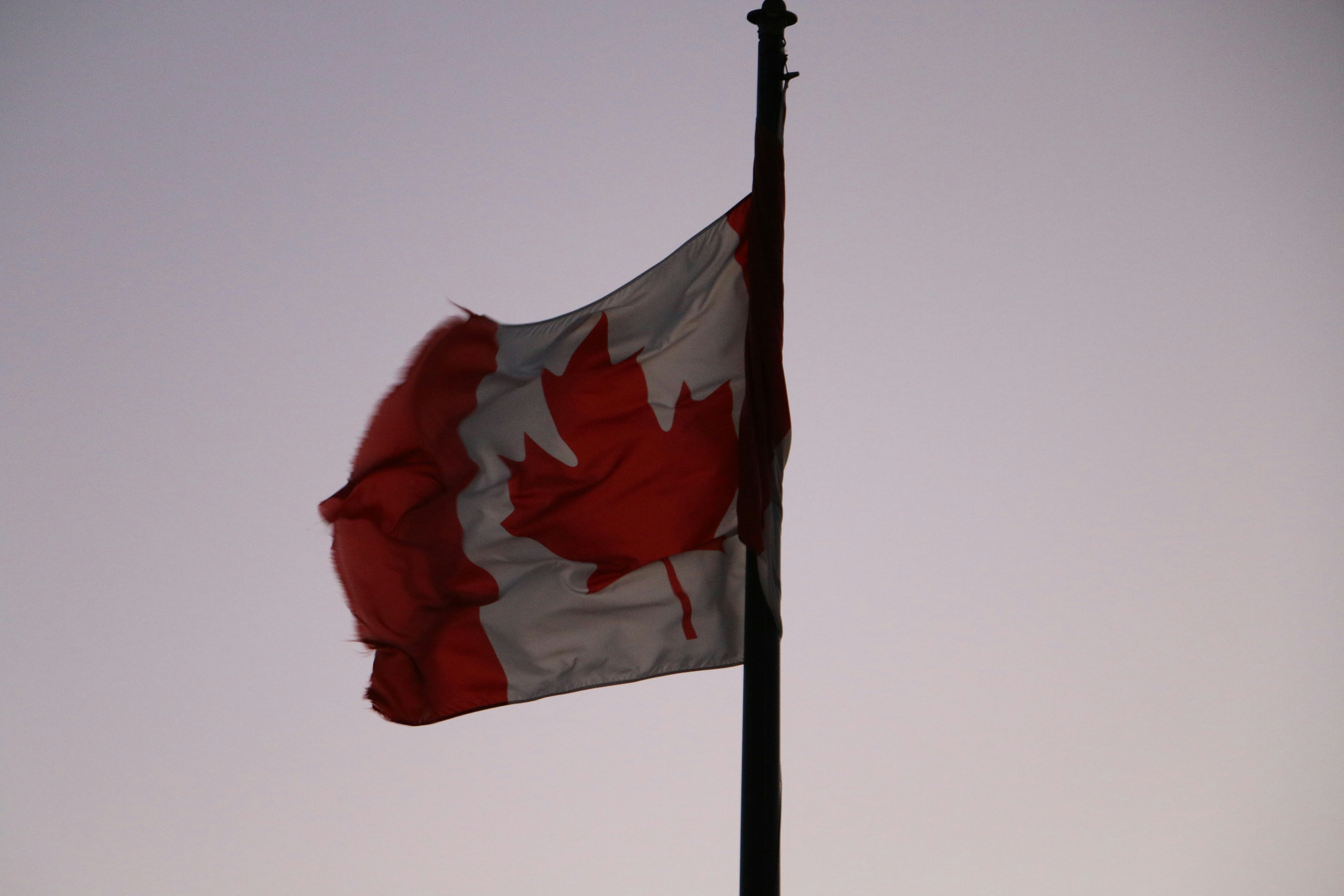 Canadian flag waving against a pale sky