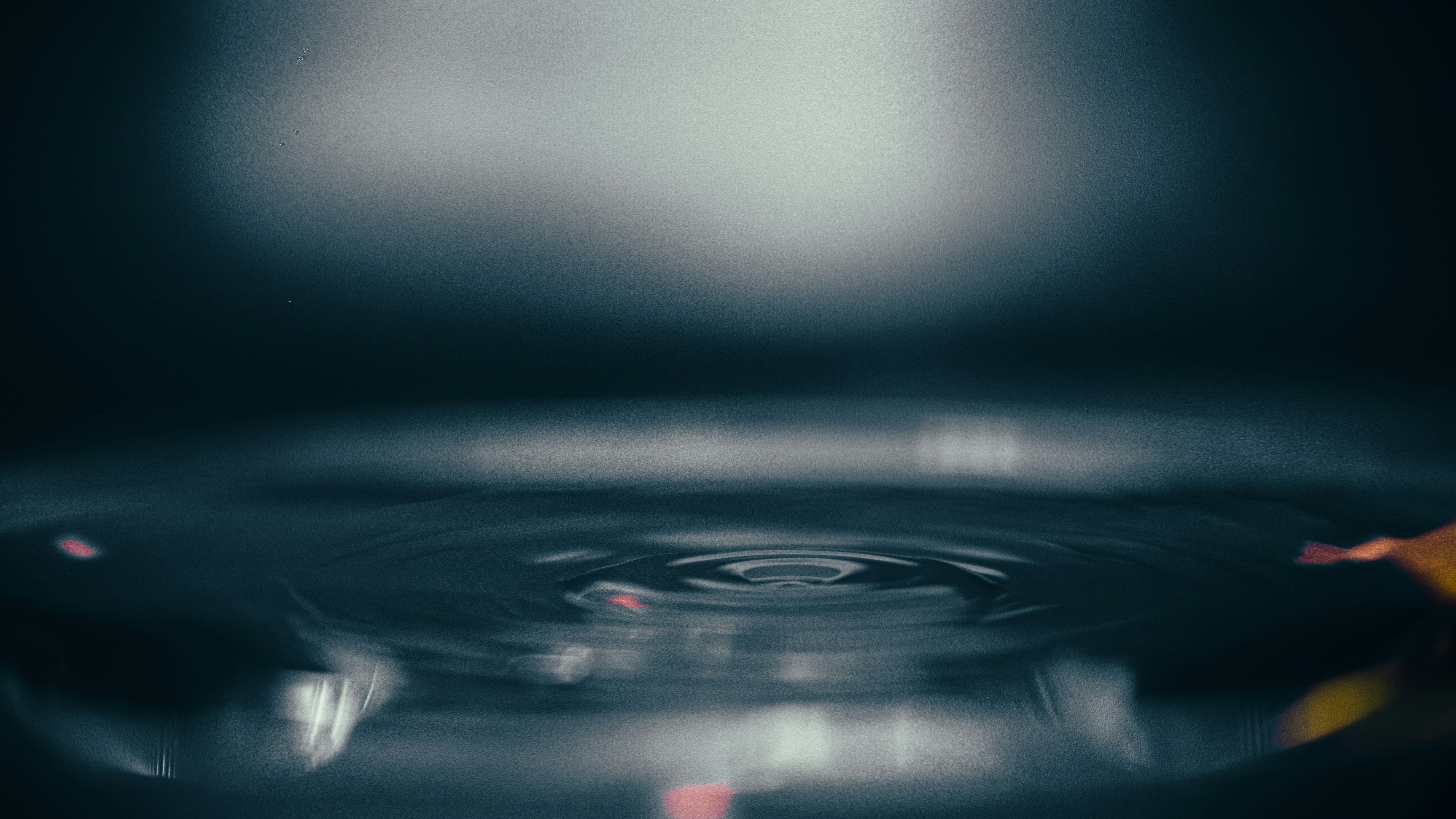 Wasser kräuselt sich mit kleinen rosa Blütenblättern, die treiben