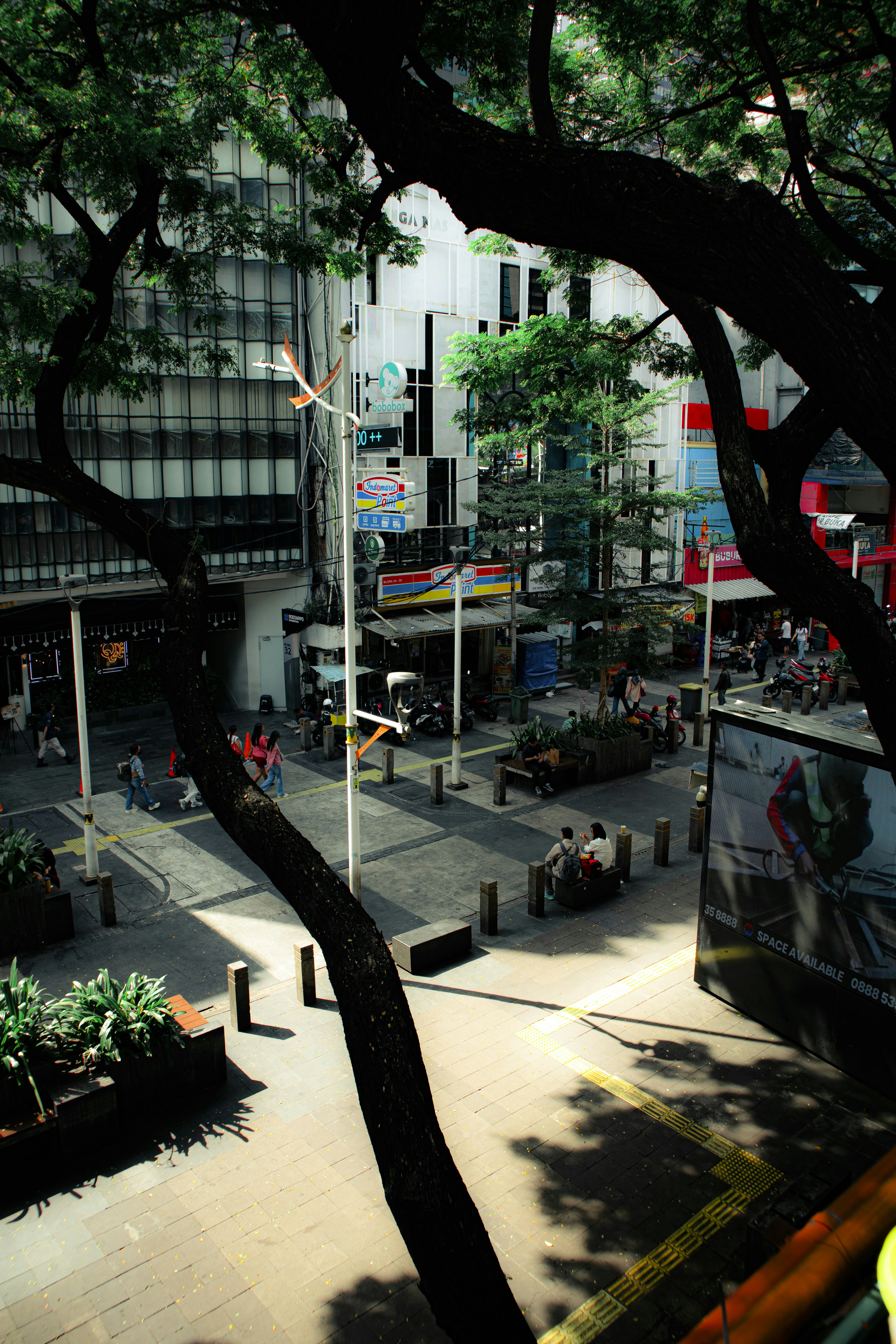 City street with trees and buildings onlooking buildings