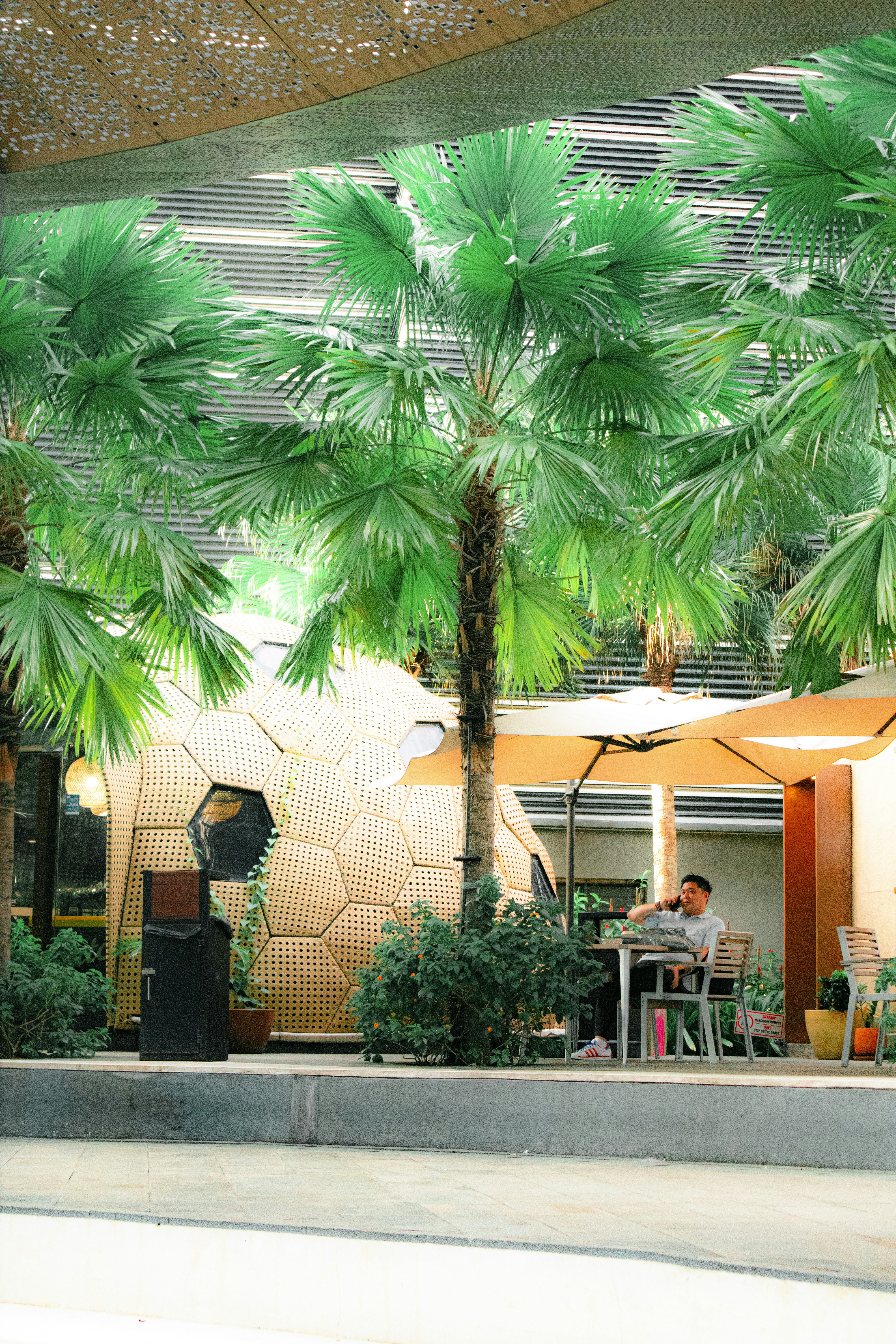 Man sitting at table under palm trees and umbrellas