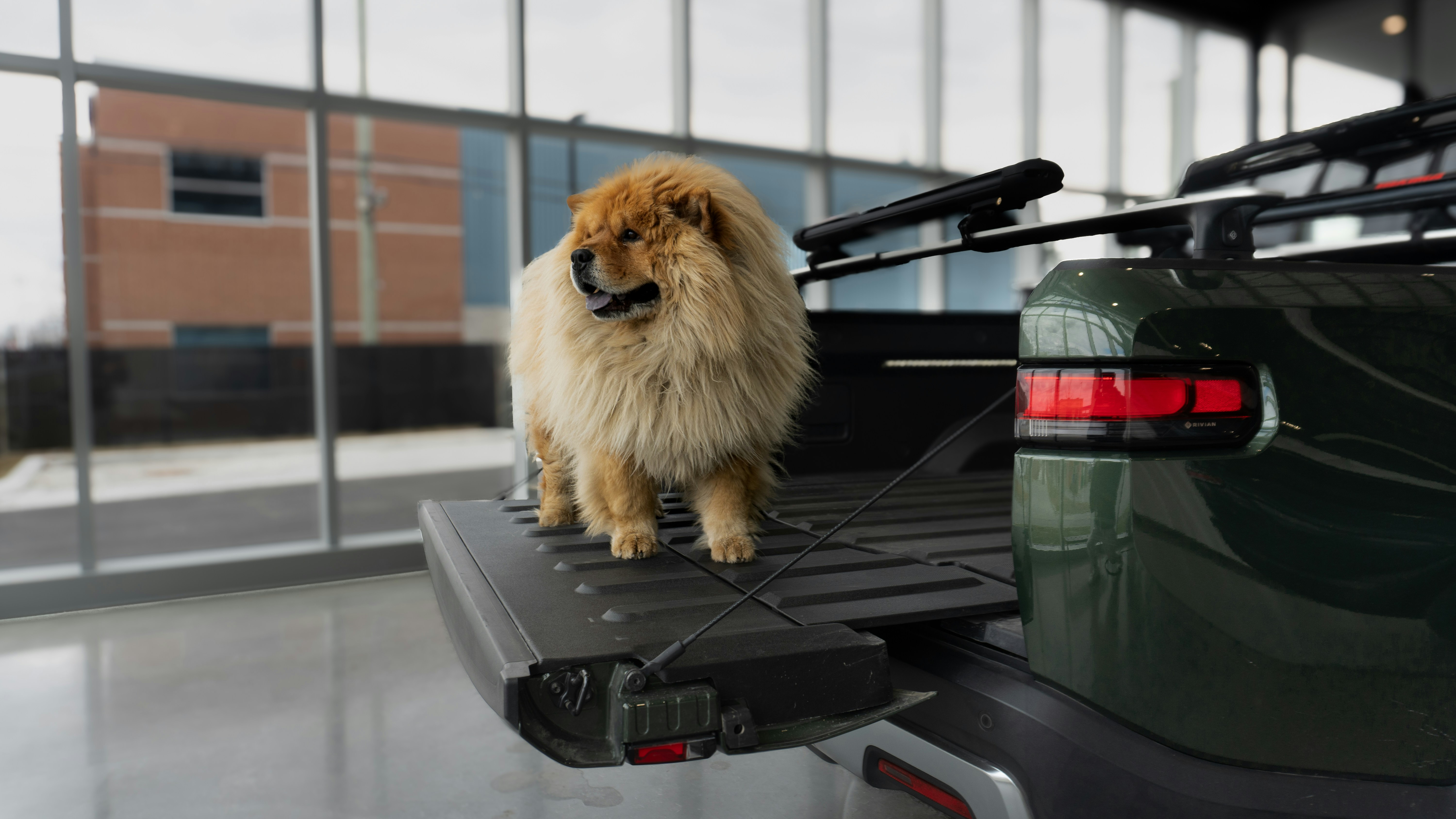 Tonneau Covers and Truck Bed Security: What Owners Need to Know