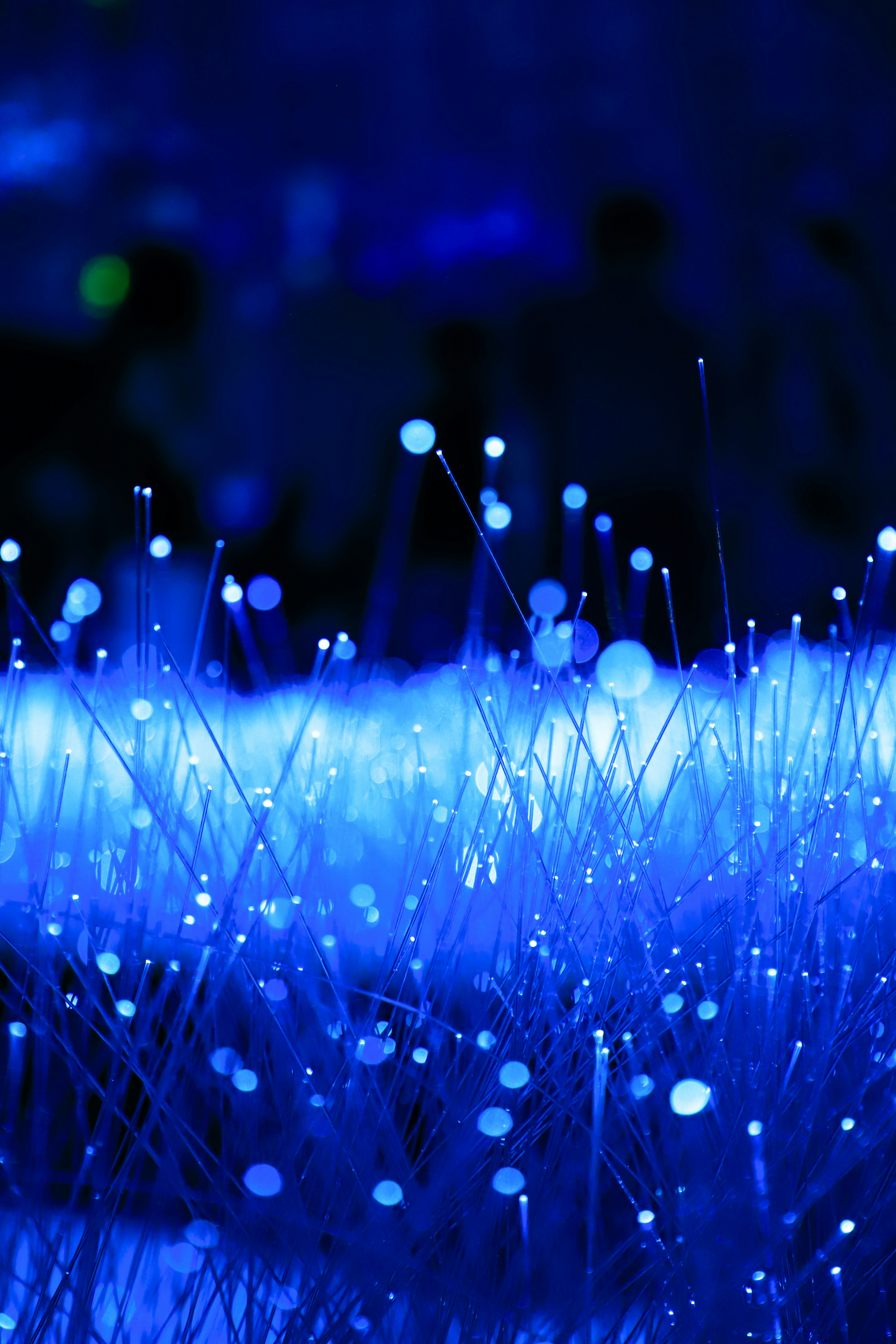 Fibra óptica azul abstracta brillante con efecto bokeh.