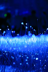 Abstract blue glowing fiber optics with bokeh effect.