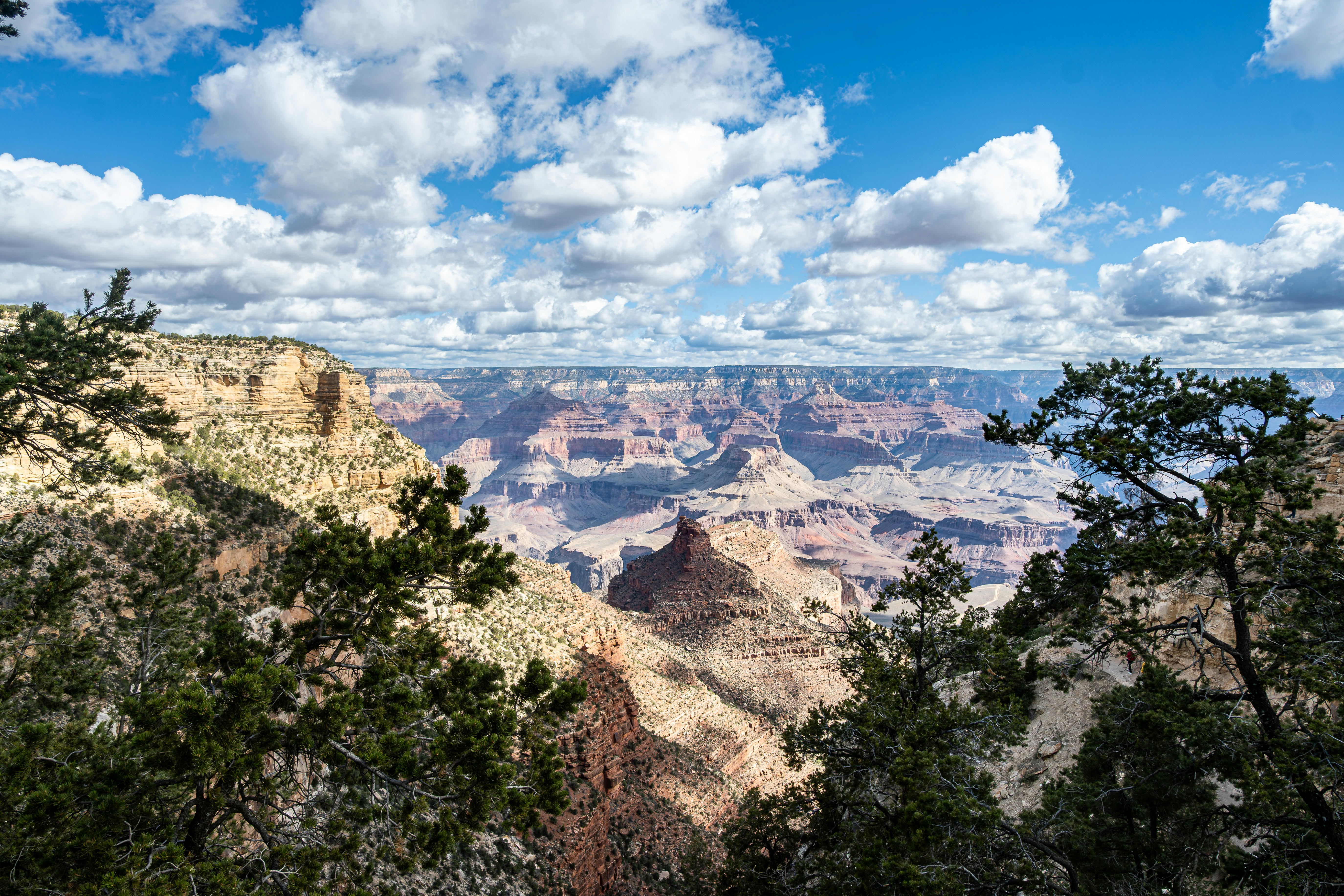 Photo by tylersphotographyus