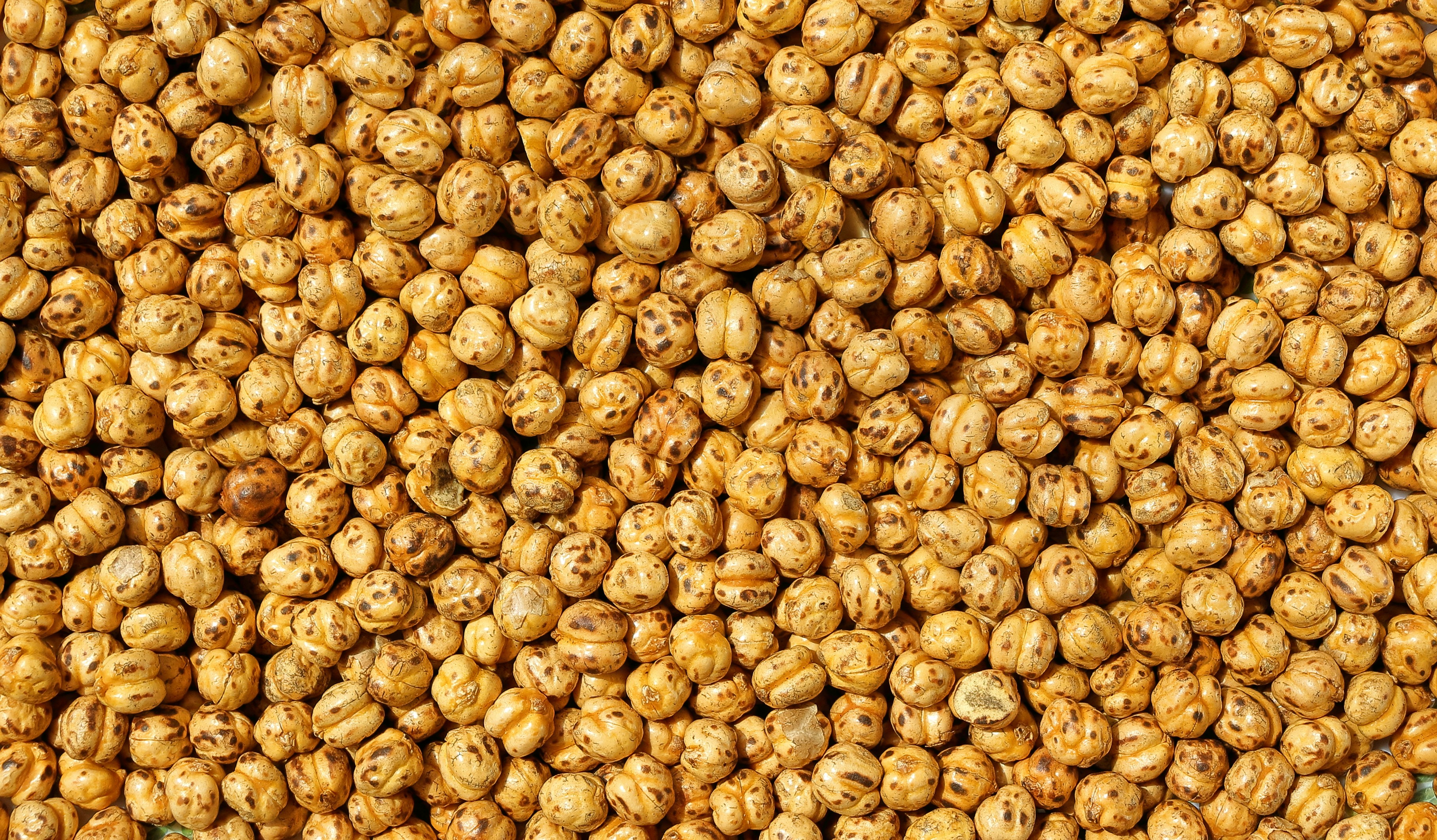 Close-up of a pile of roasted chickpeas