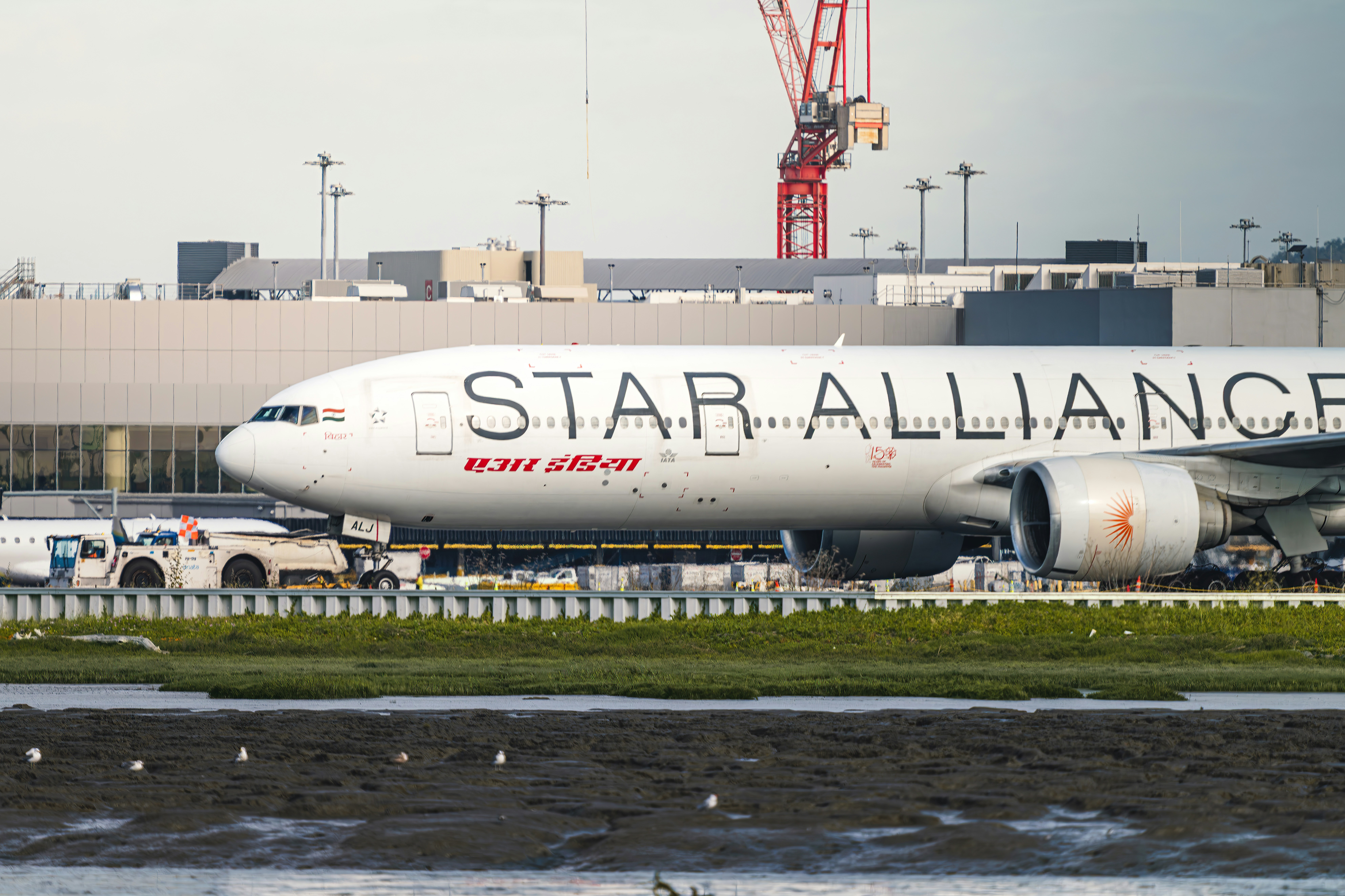 Star Alliance: Guia Completo e Dicas para Aproveitar - Blog Mais Milhas