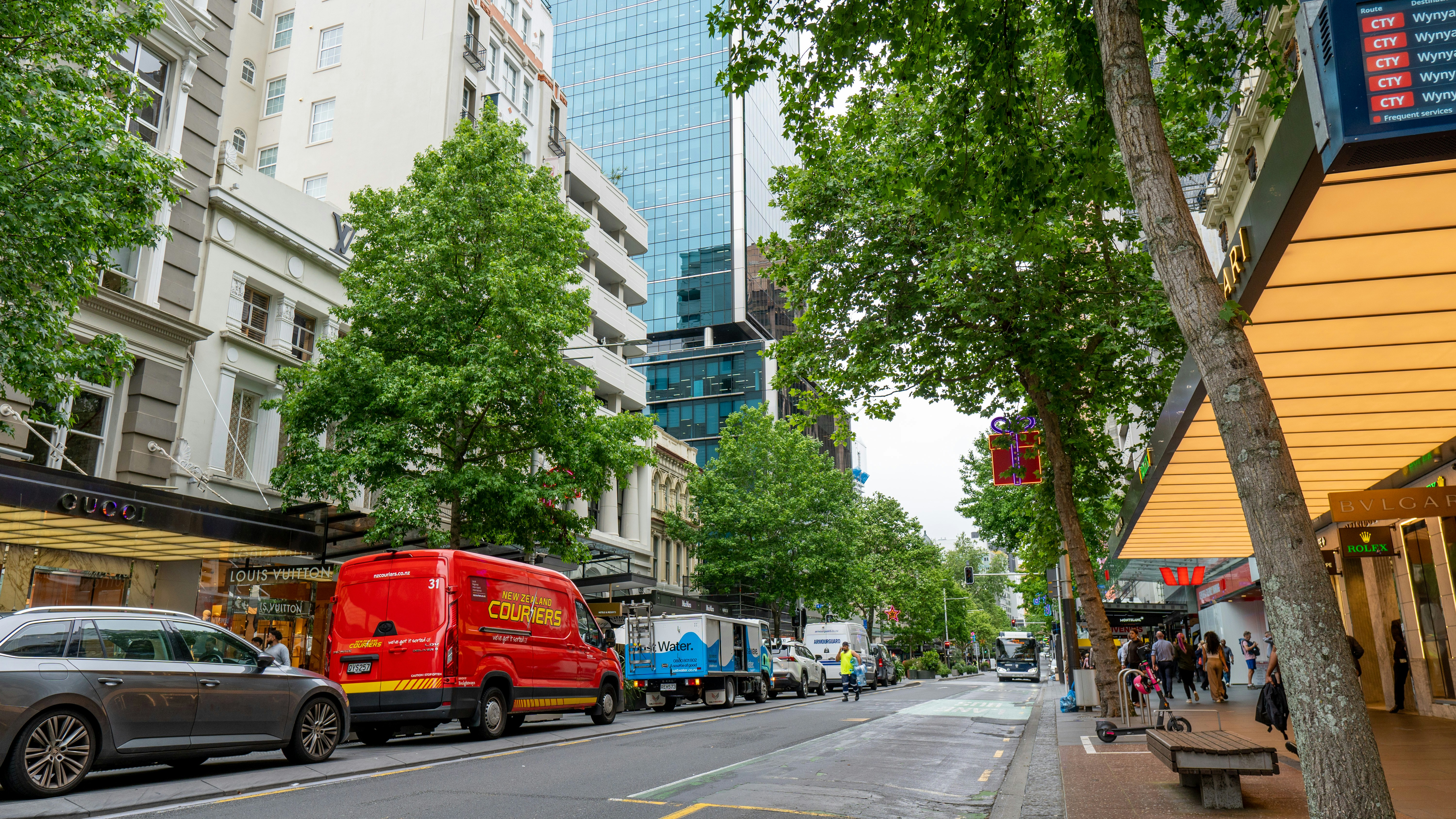City street with parked cars and trees lining sidewalk.