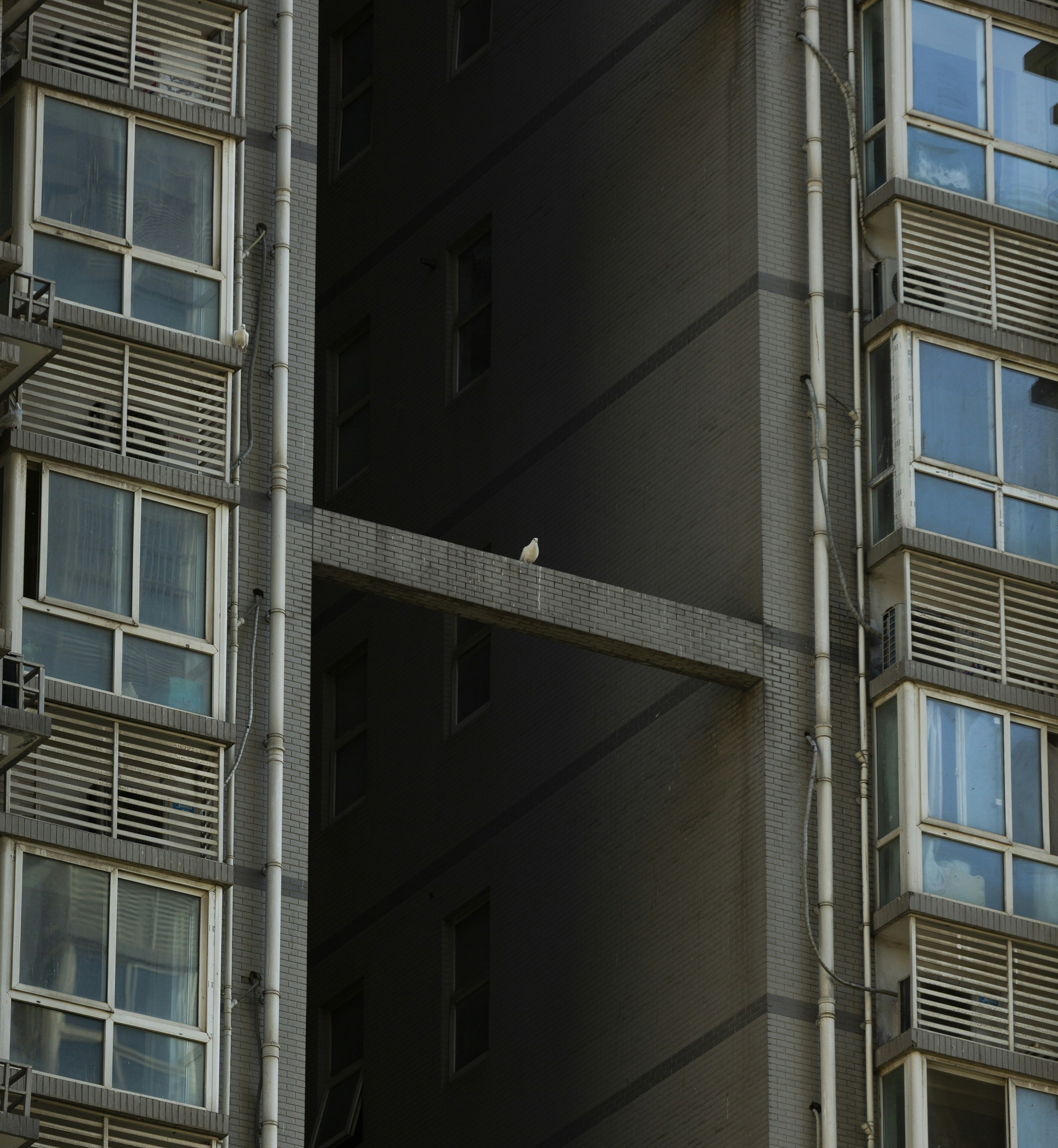 Um pássaro solitário empoleirado em uma viga de concreto.