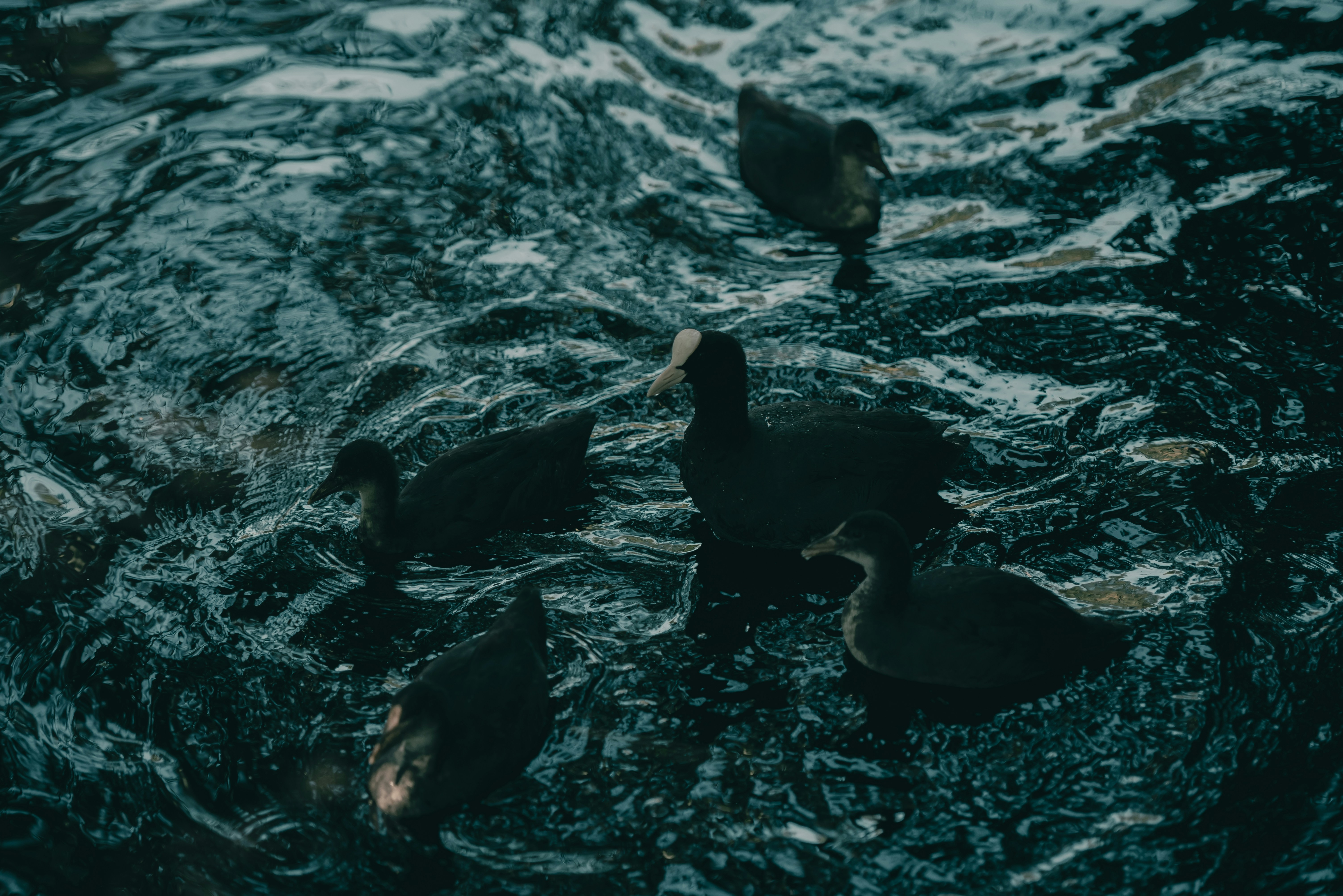 Volodymyr Leush (@volodymyr_leush) | Unsplashフォトコミュニティ