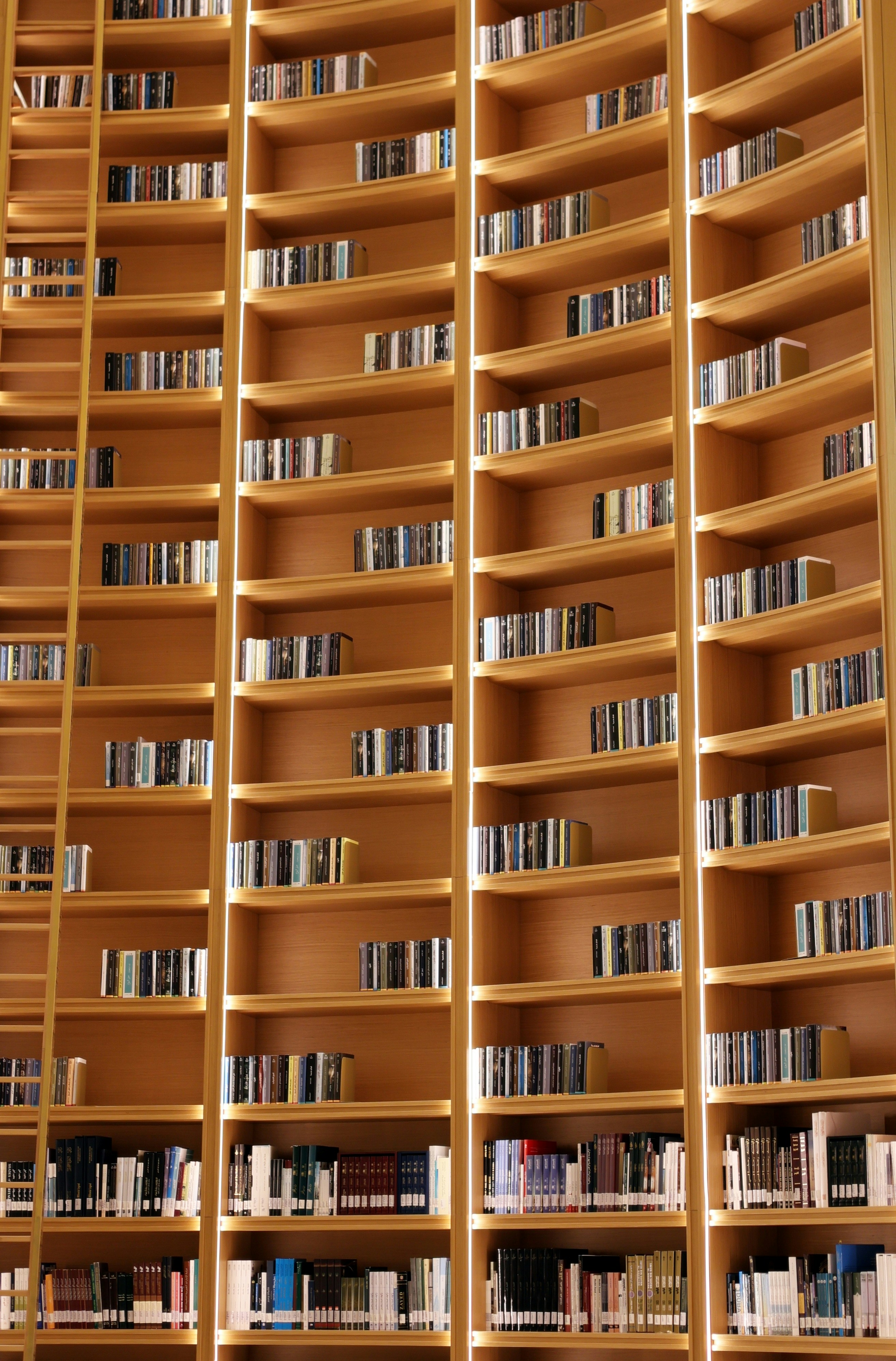 Tall wooden bookshelves filled with many books