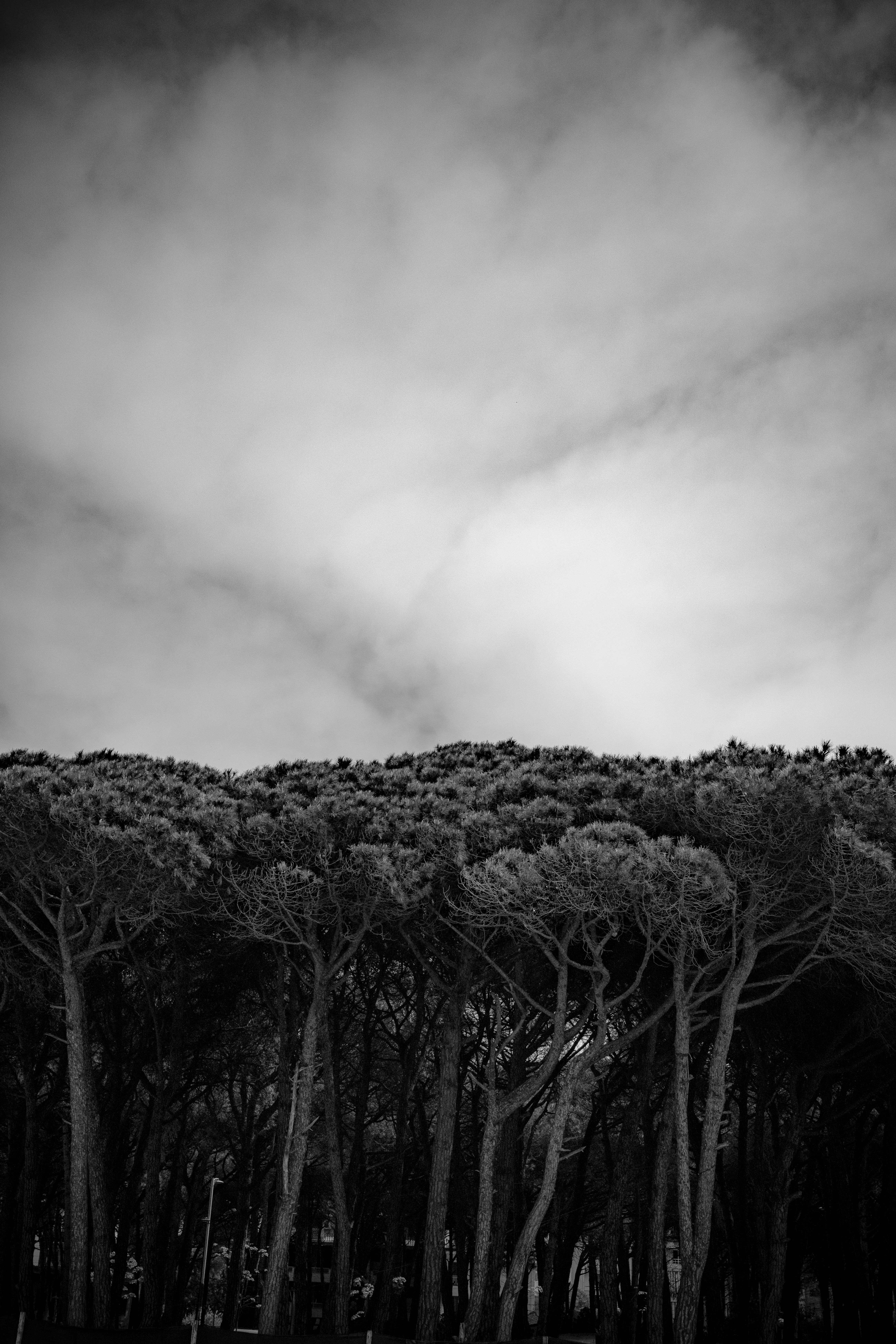 Photo by paolobici