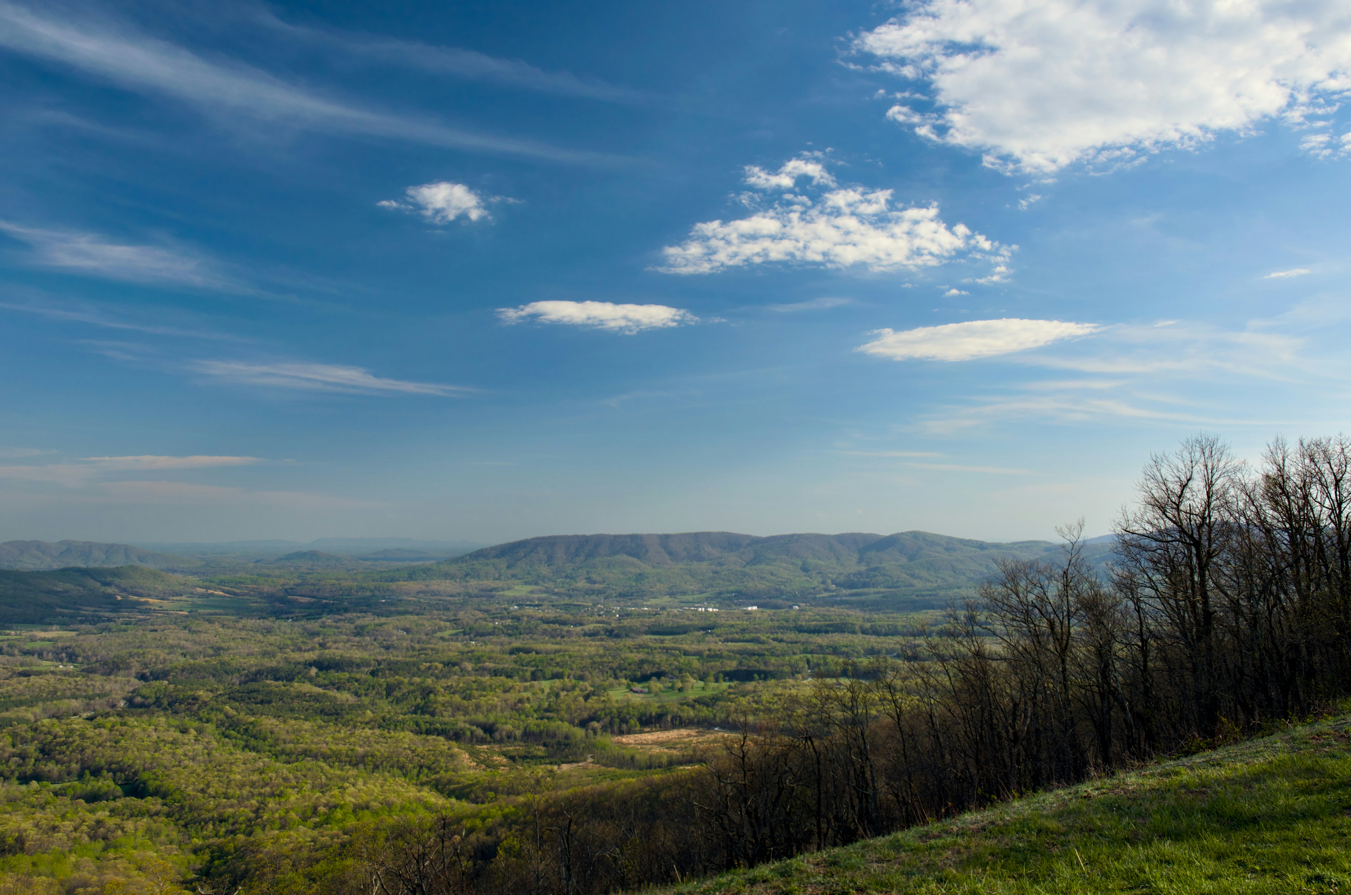Falling Creek Park