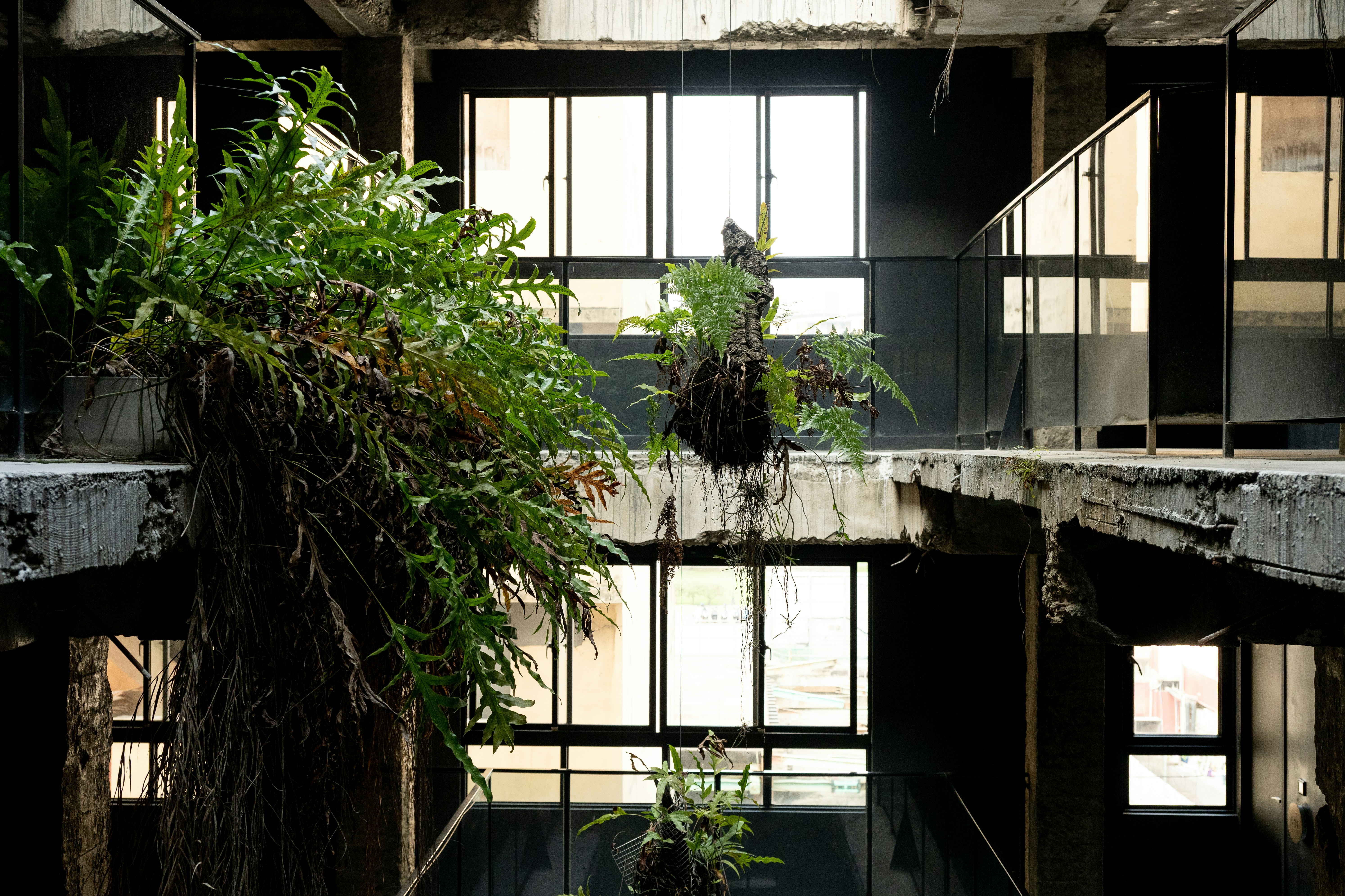 Design Sostenibile: ispirazioni naturali