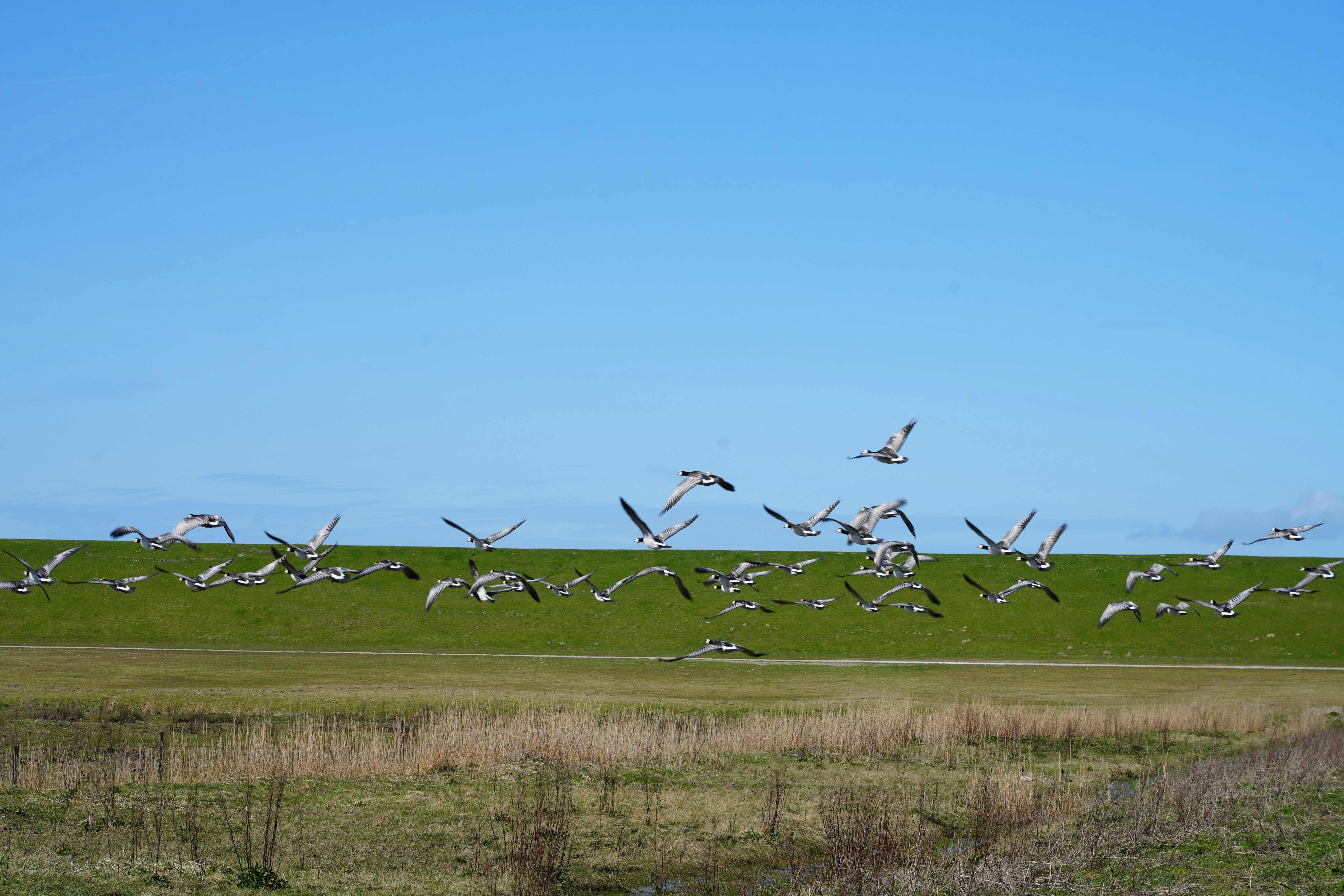 Ein veröffentlichtes Foto