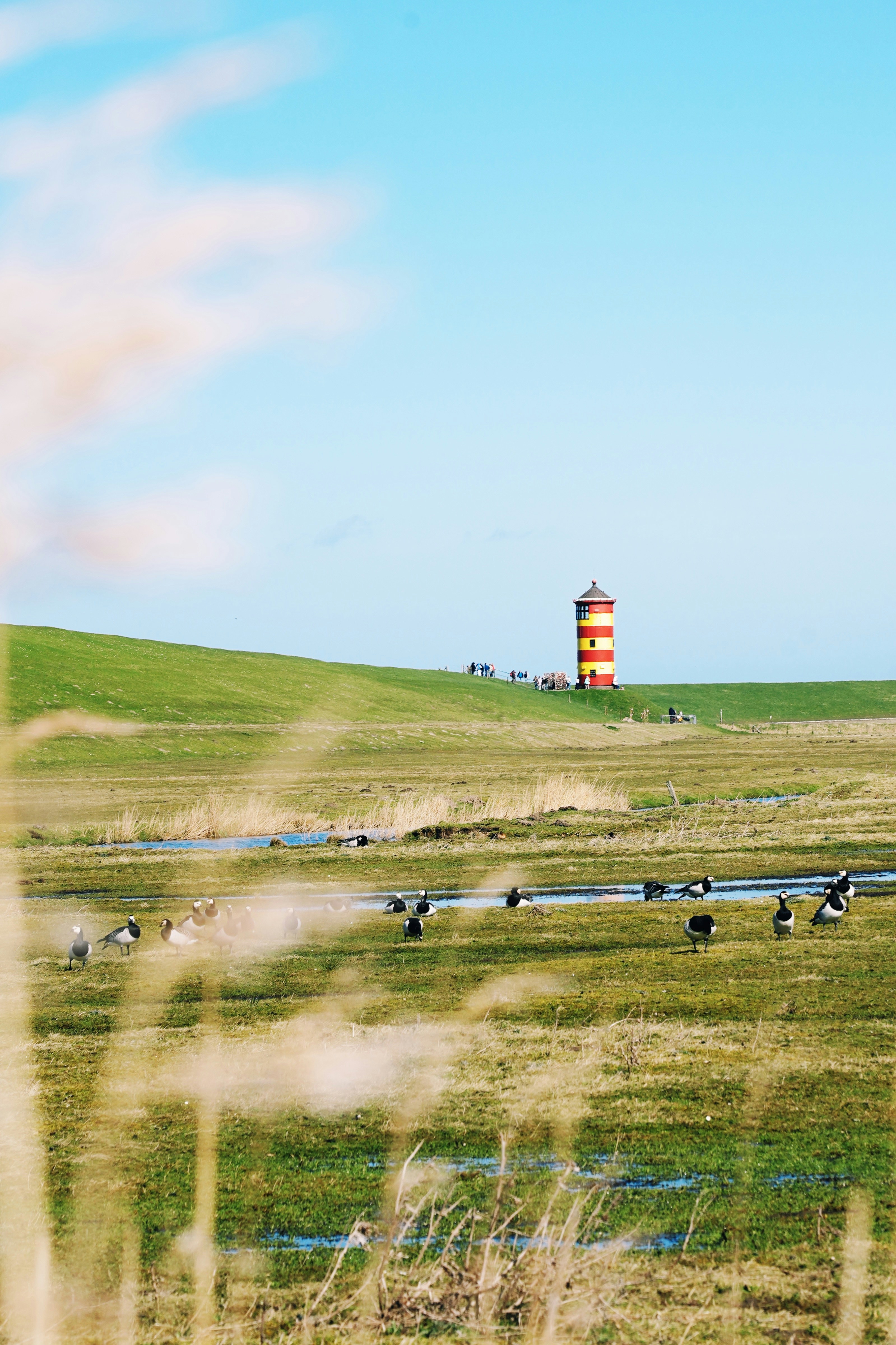 Ein veröffentlichtes Foto