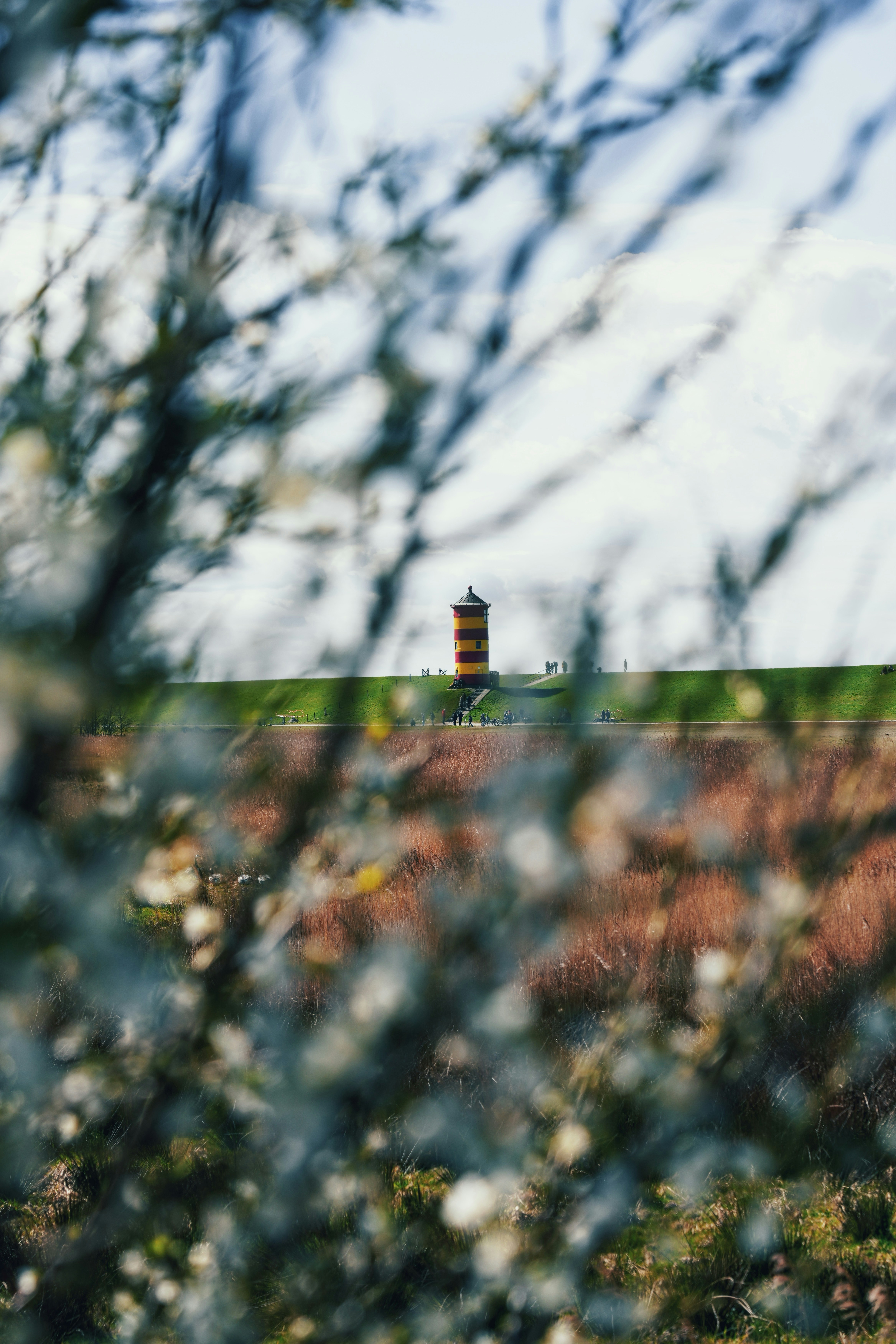 Ein veröffentlichtes Foto