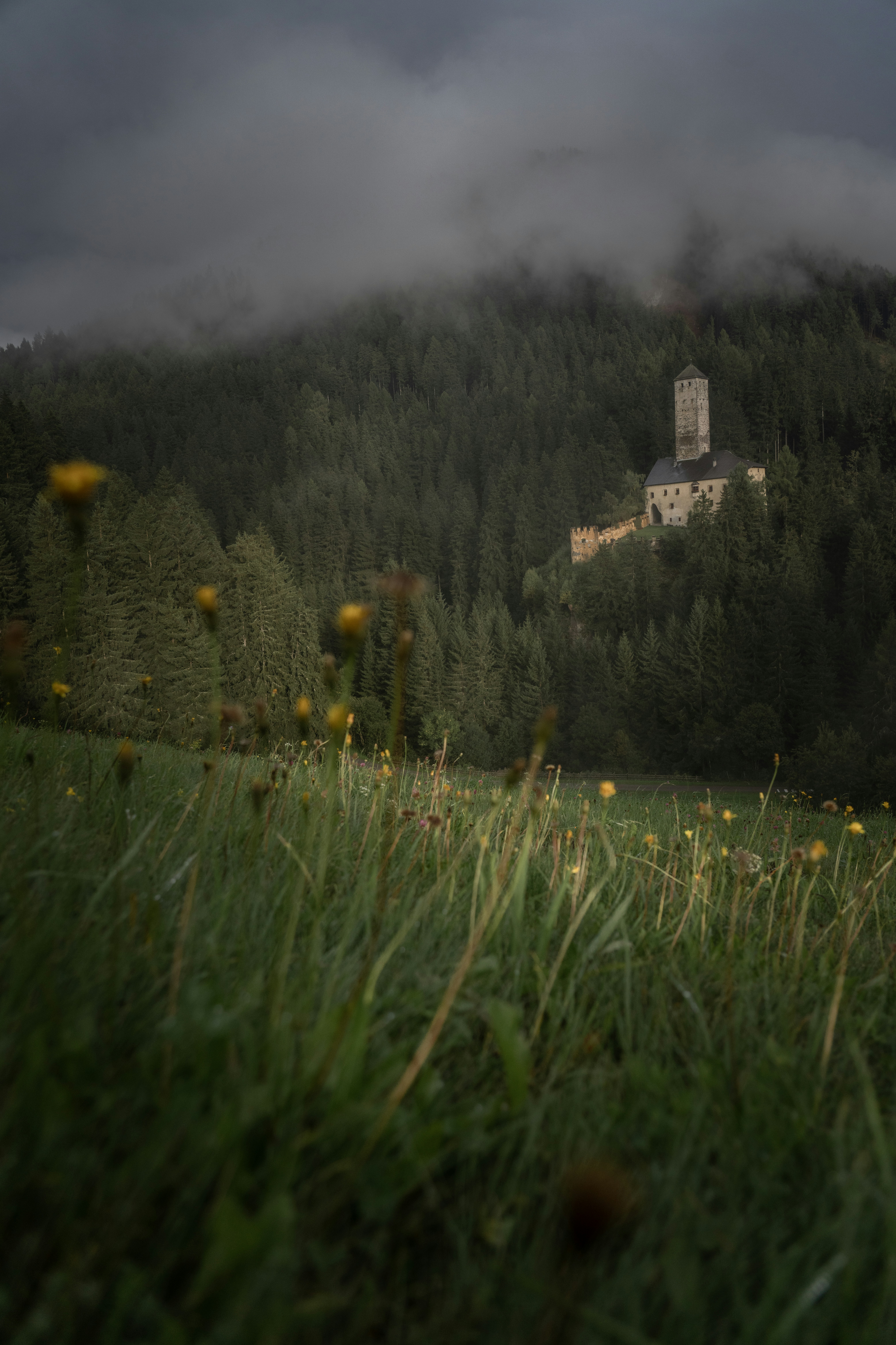 Castle on a hill surrounded by a dense forest.