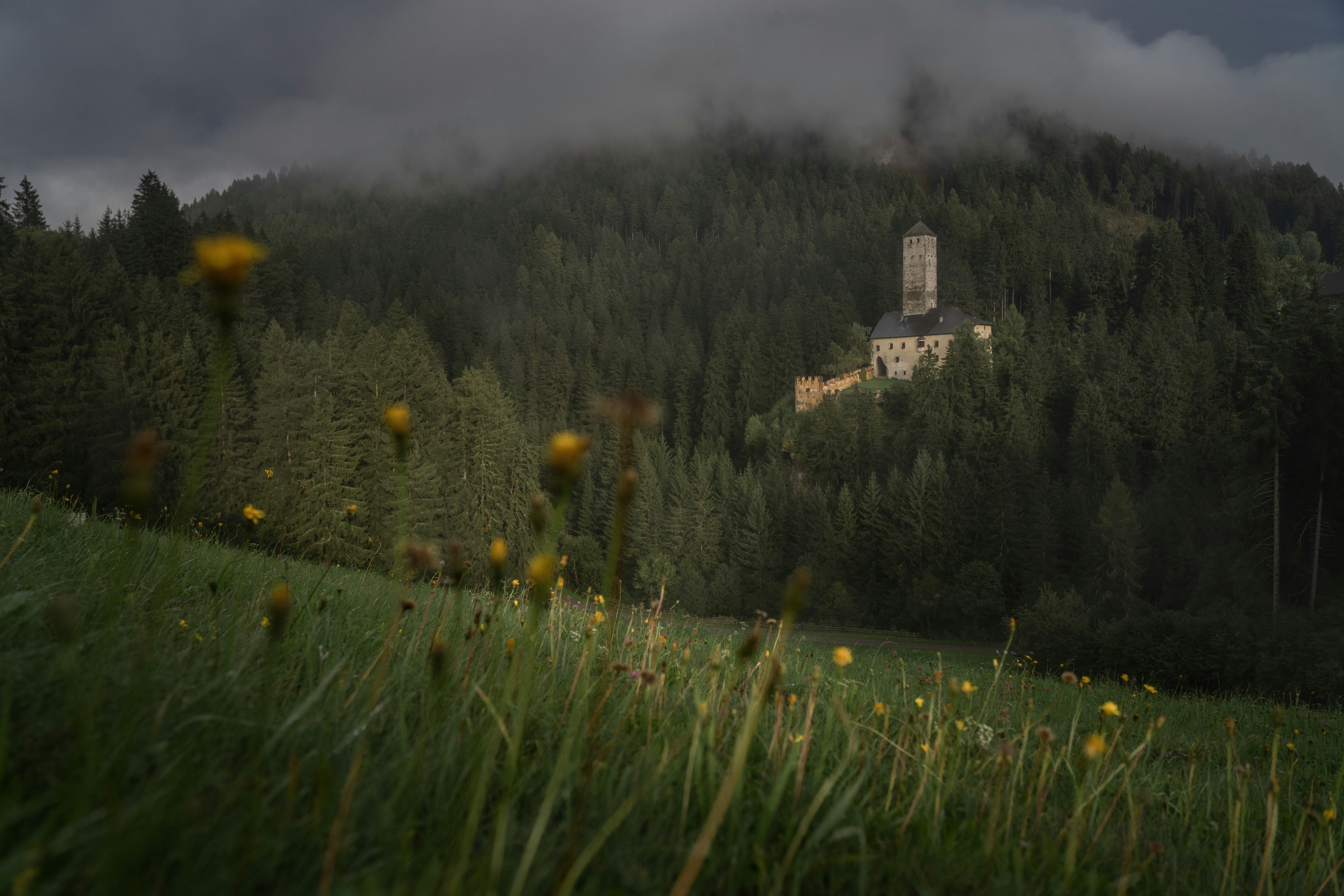 Castle on a forested mountain under cloudy skies.