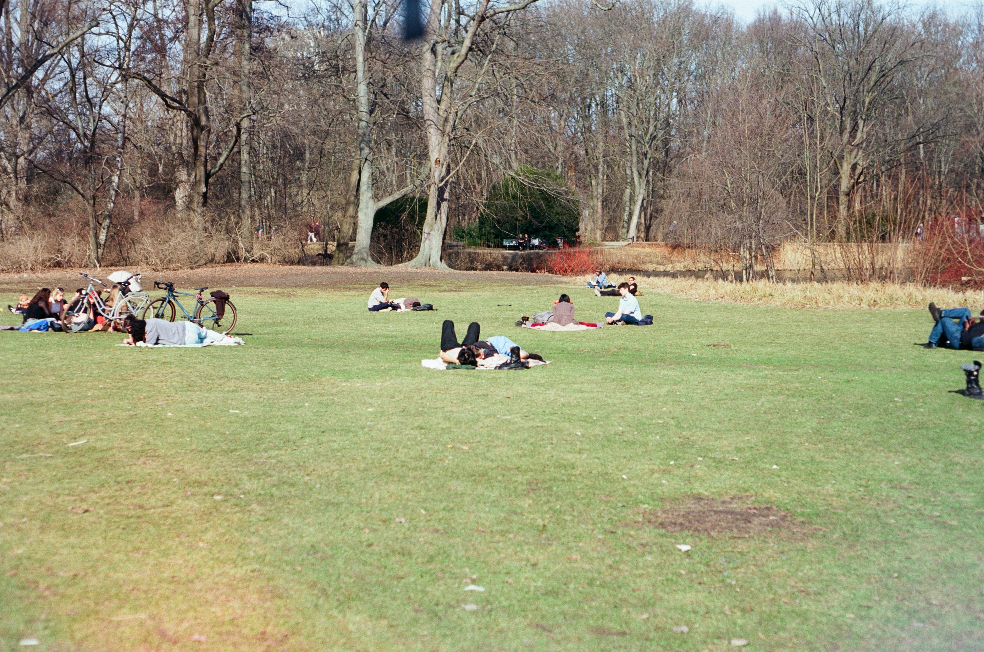 May's Meadow