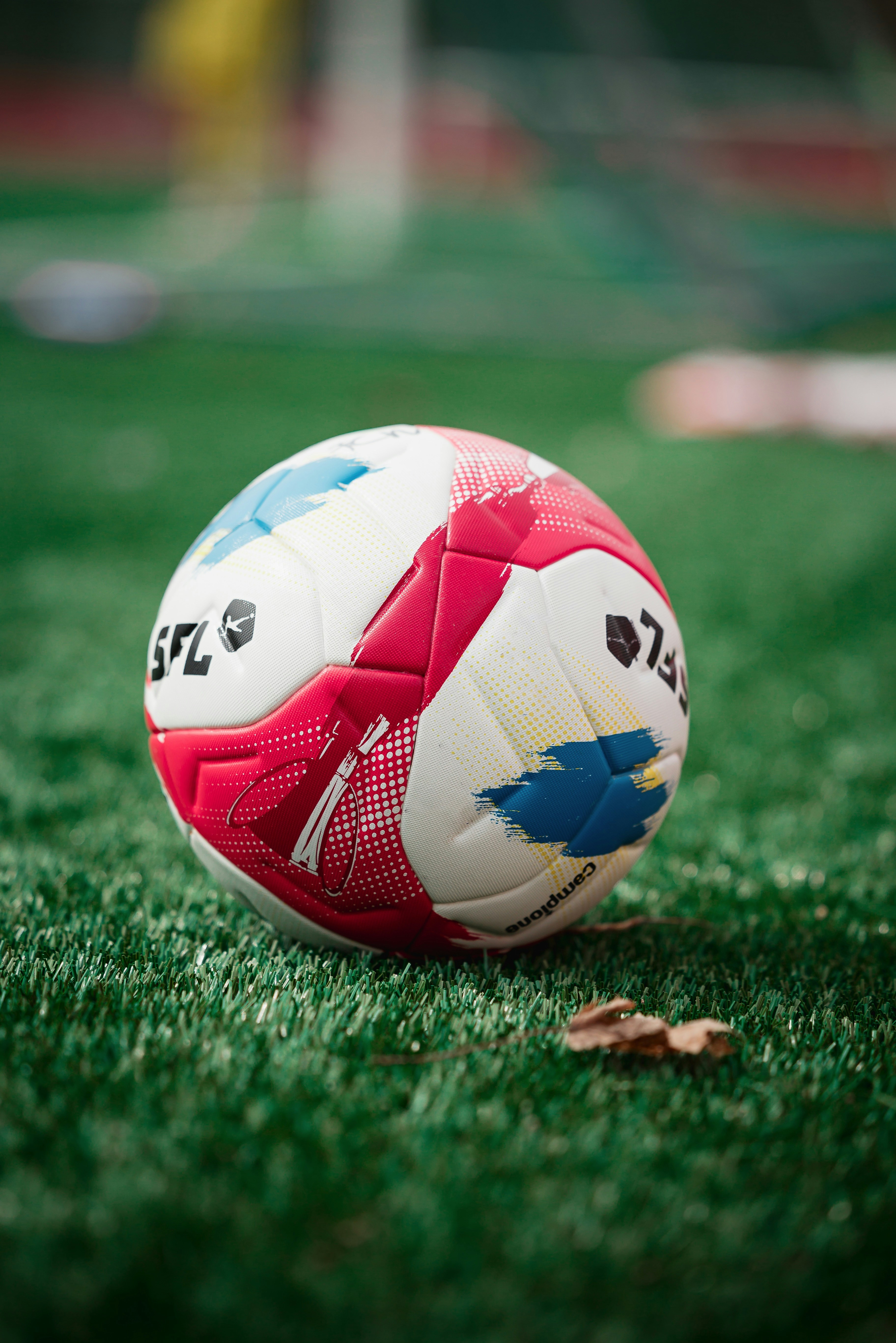 Ein Fußball liegt auf einem grünen Feld.