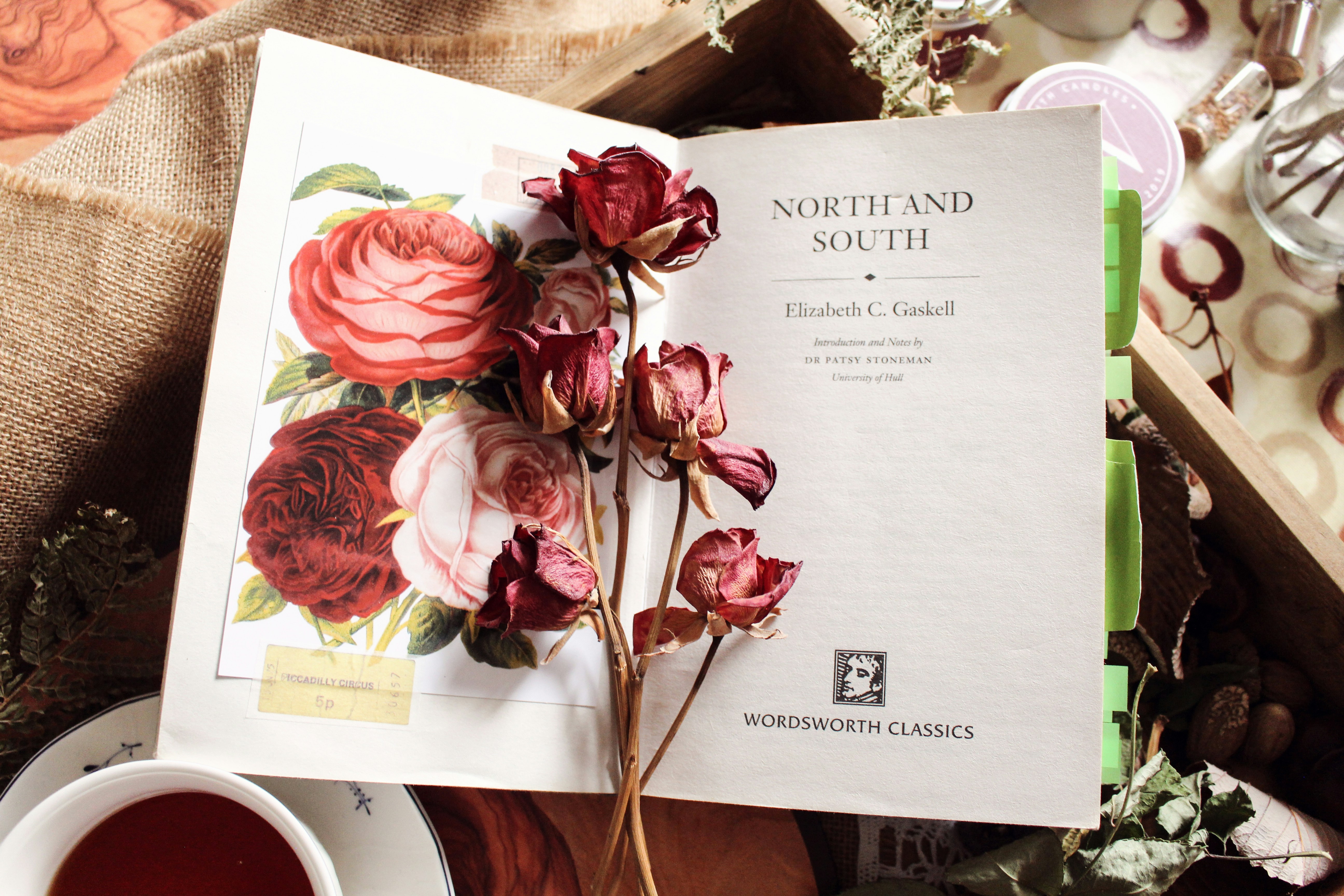 Open book with dried flowers and roses