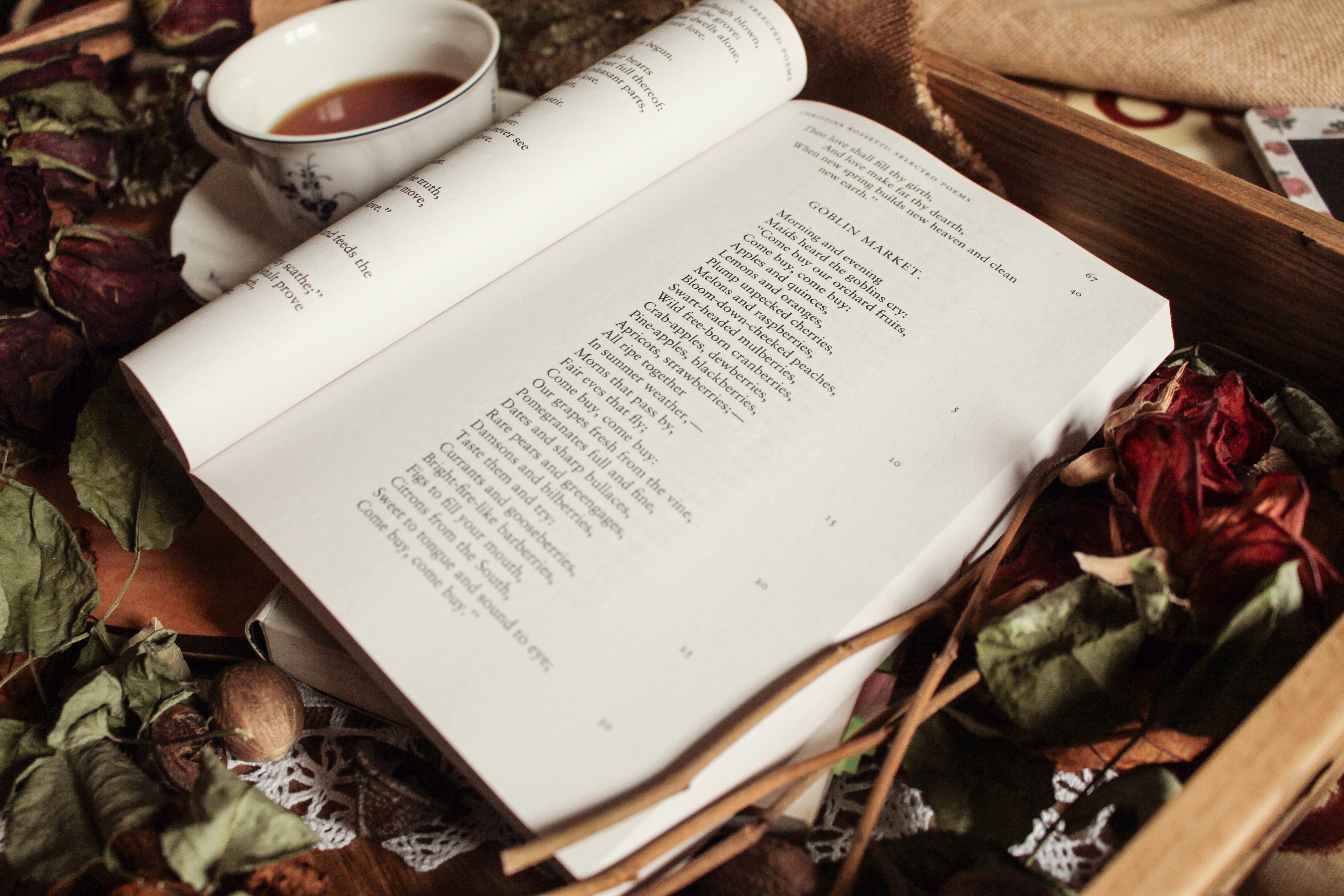 Open book with dried flowers and tea