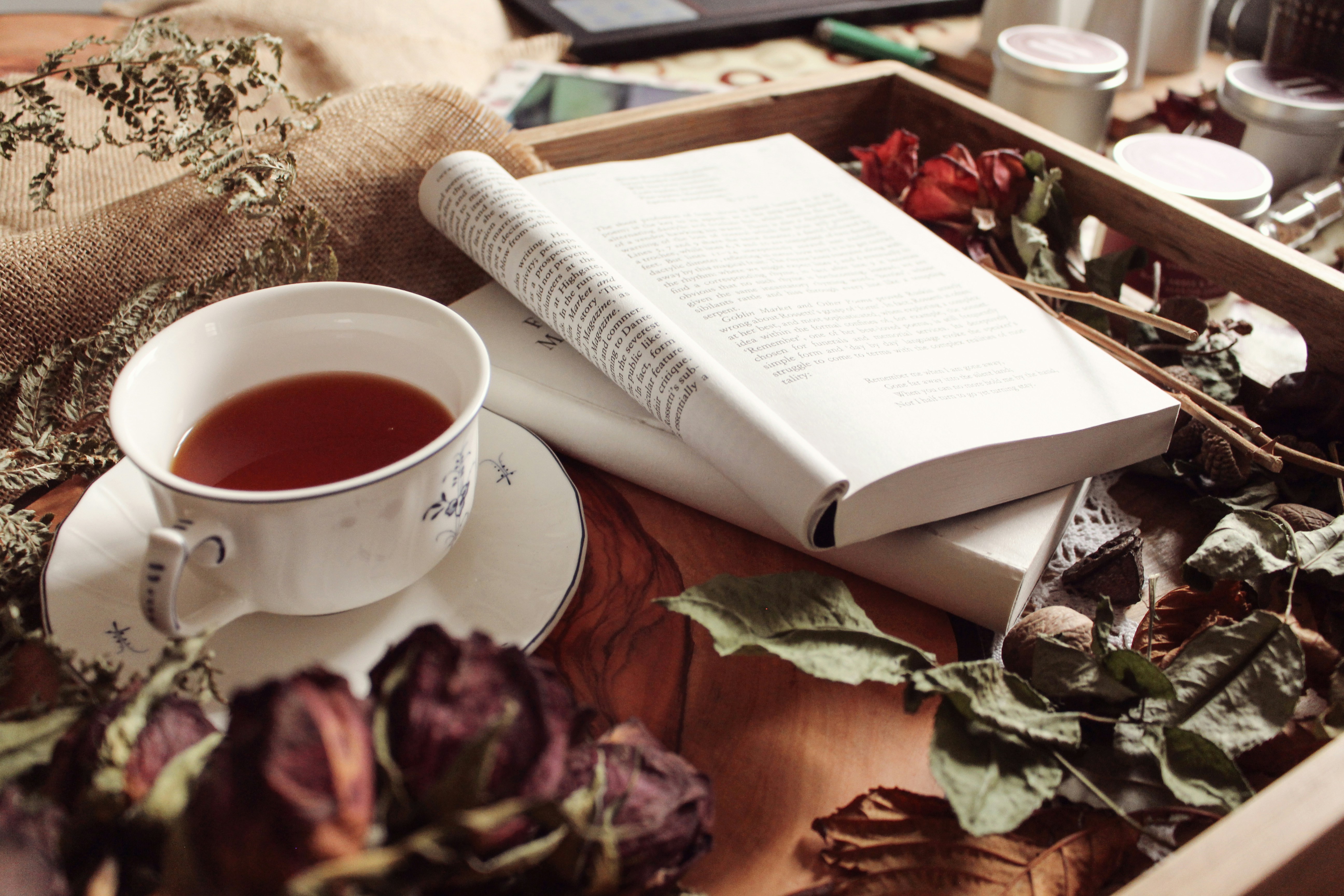 A cup of tea and books on a wooden tray