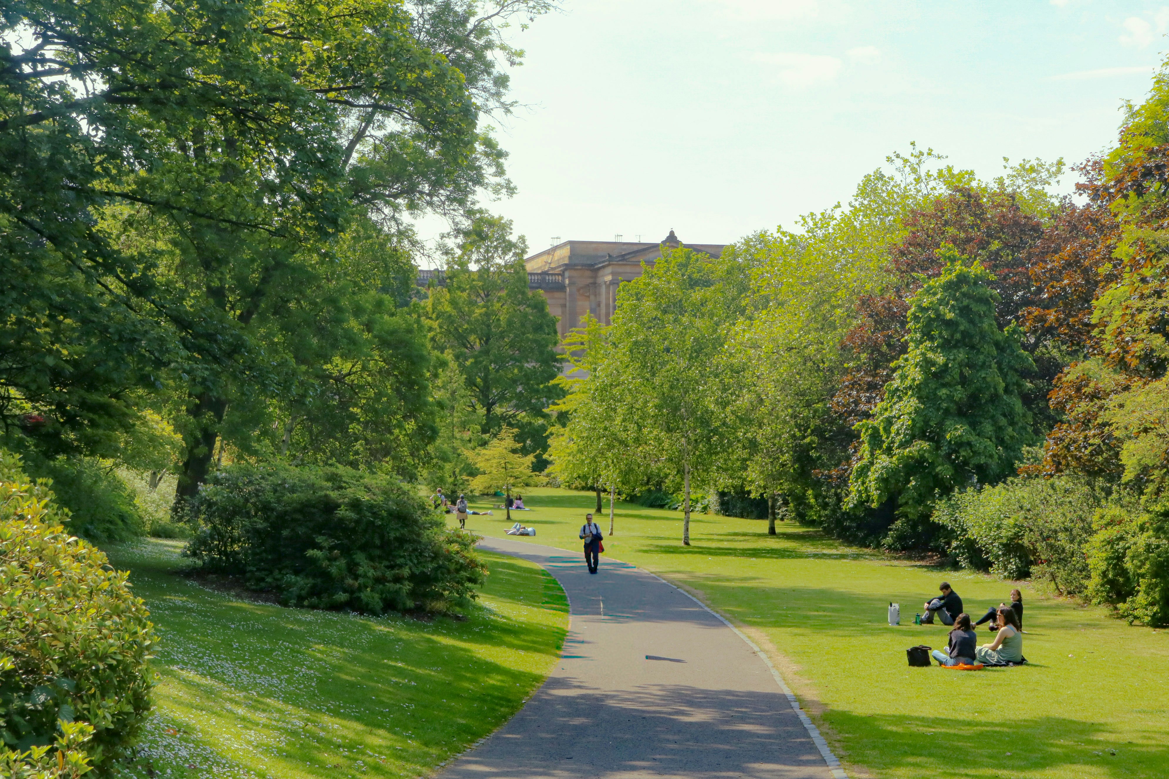 晴れた日に公園でくつろぐ人々