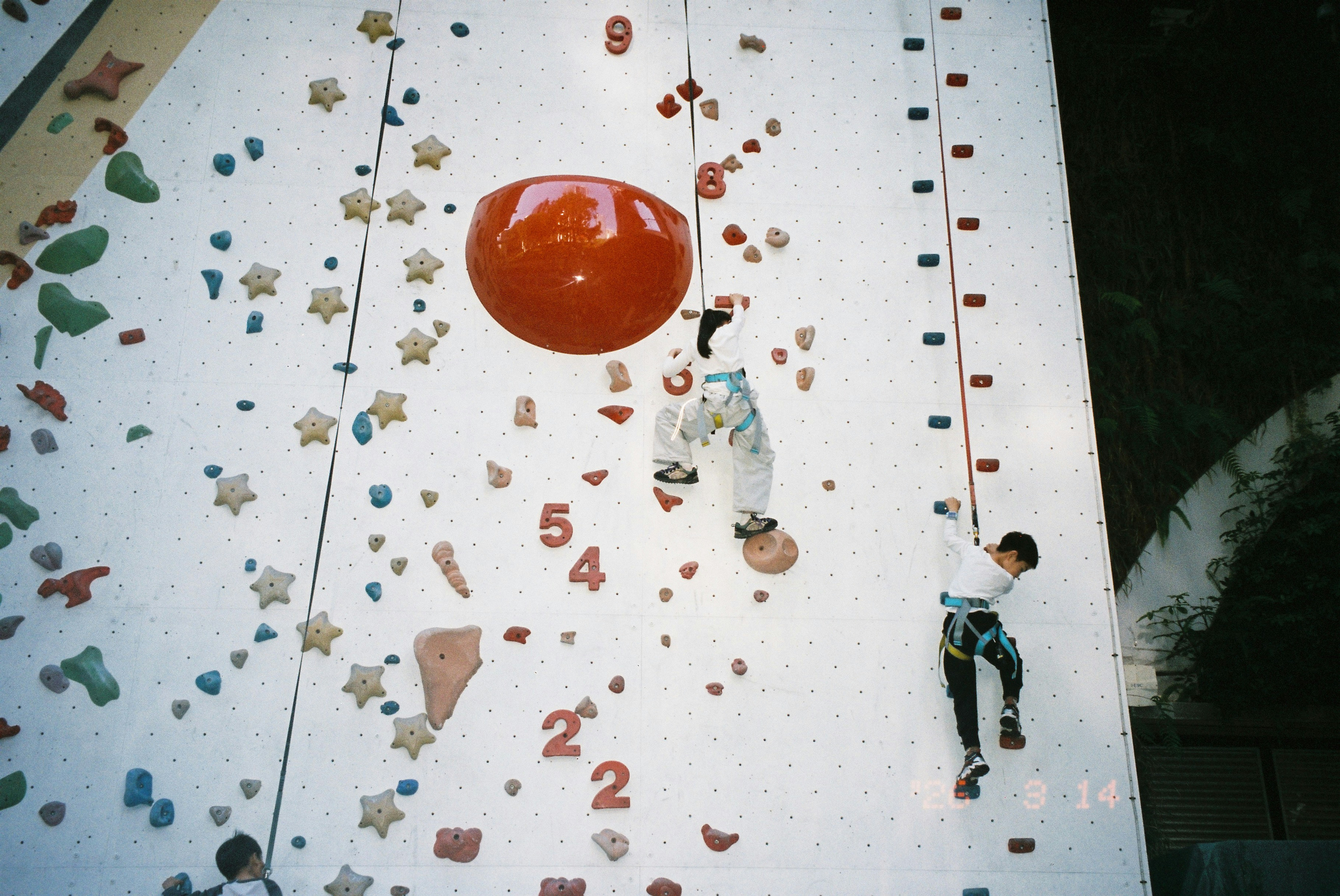 Find the very best Registered Agent Providers in Washington