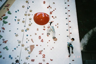 Children climbing a colorful indoor rock wall